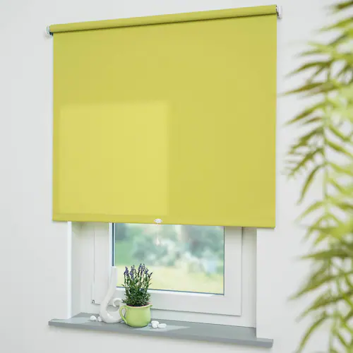 Liedeco Springrollo »Uni«, Lichtschutz, freihängend, lichtdurchlässig günstig online kaufen