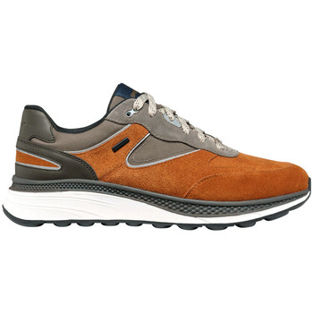 Geox  Sneaker U Spherica Actif X1 Abx sneaker günstig online kaufen