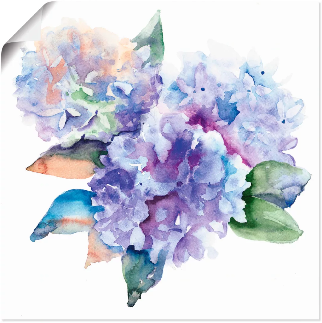 Artland Wandbild "Hortensien", Blumen, (1 St.), als Leinwandbild, Poster in günstig online kaufen
