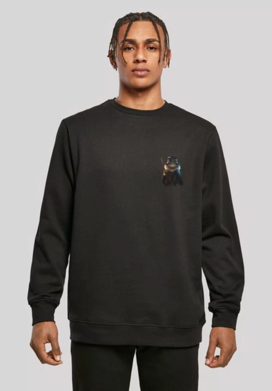 F4NT4STIC Kapuzenpullover "Wizard Cat CREW", Print günstig online kaufen