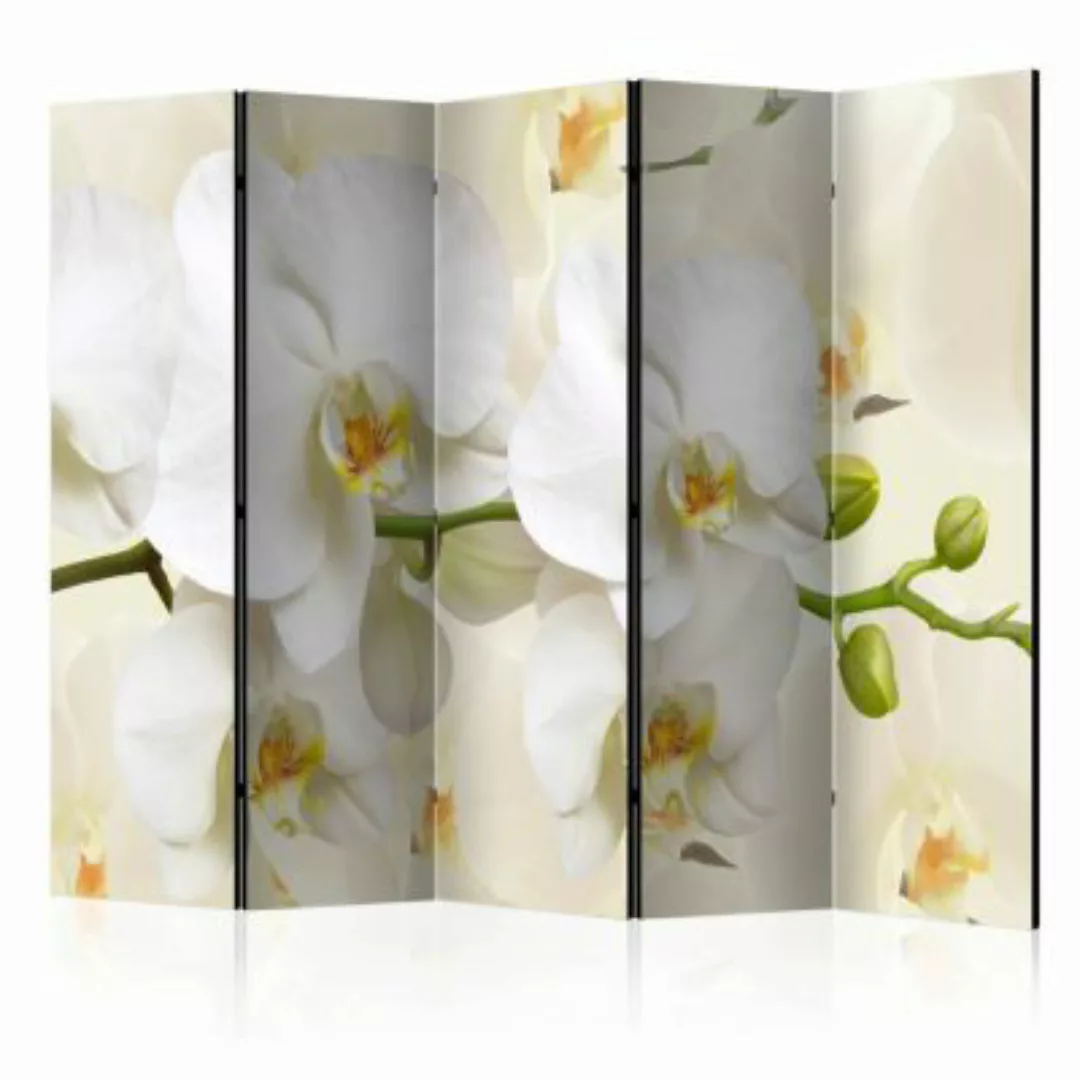 artgeist Paravent Orchid Branch II [Room Dividers] gelb-kombi Gr. 225 x 172 günstig online kaufen