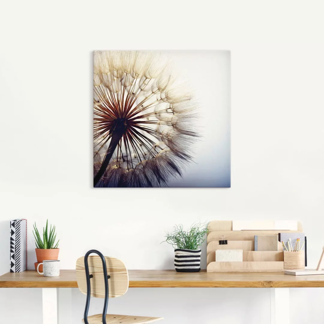 Artland Wandbild »Große Pusteblume«, Blumen, (1 St.), als Alubild, Outdoorb günstig online kaufen