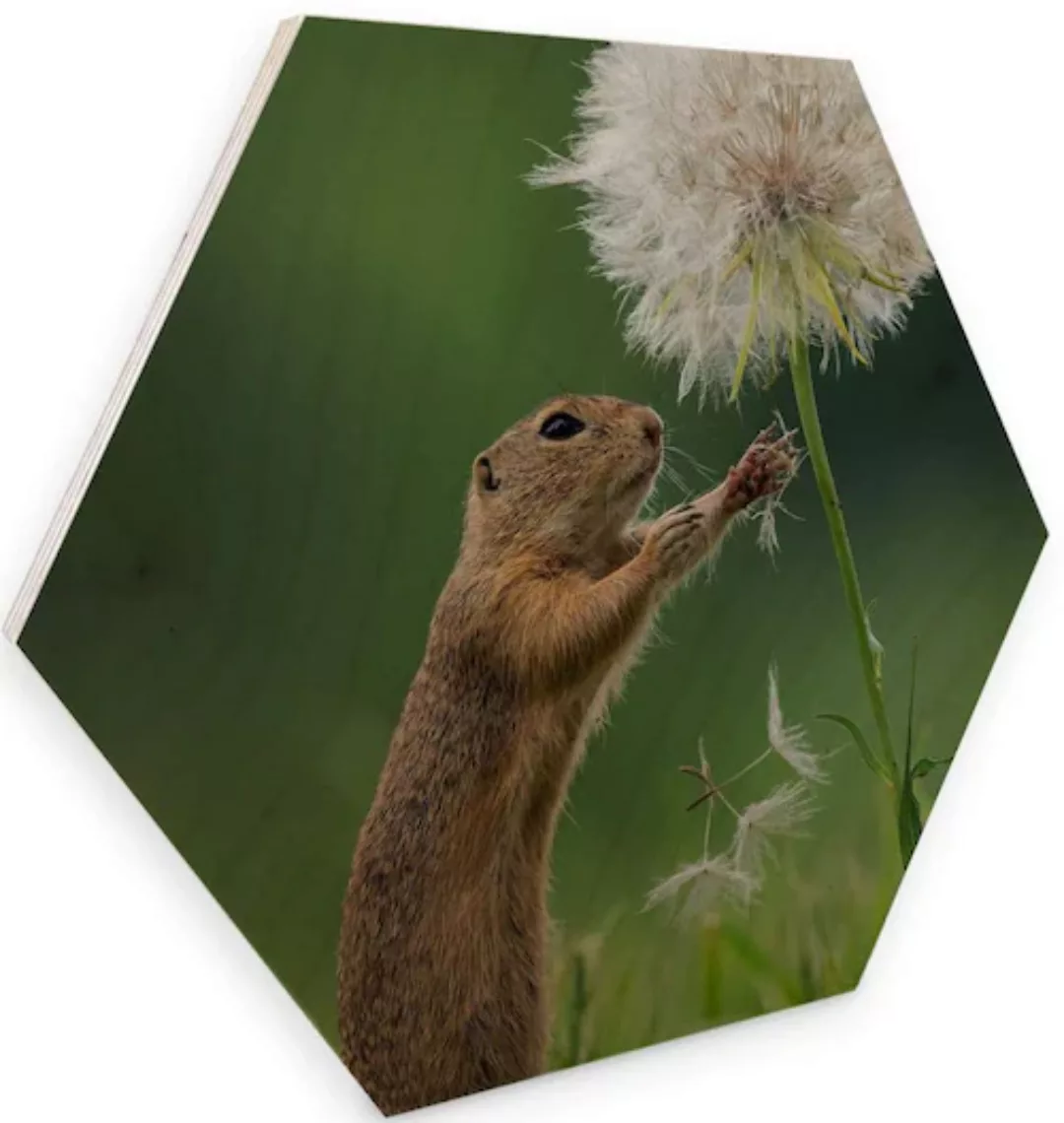 Wall-Art Holzbild »Eichhörnchen Holzbild Blumen«, (1 St.), Vintage Holzschi günstig online kaufen