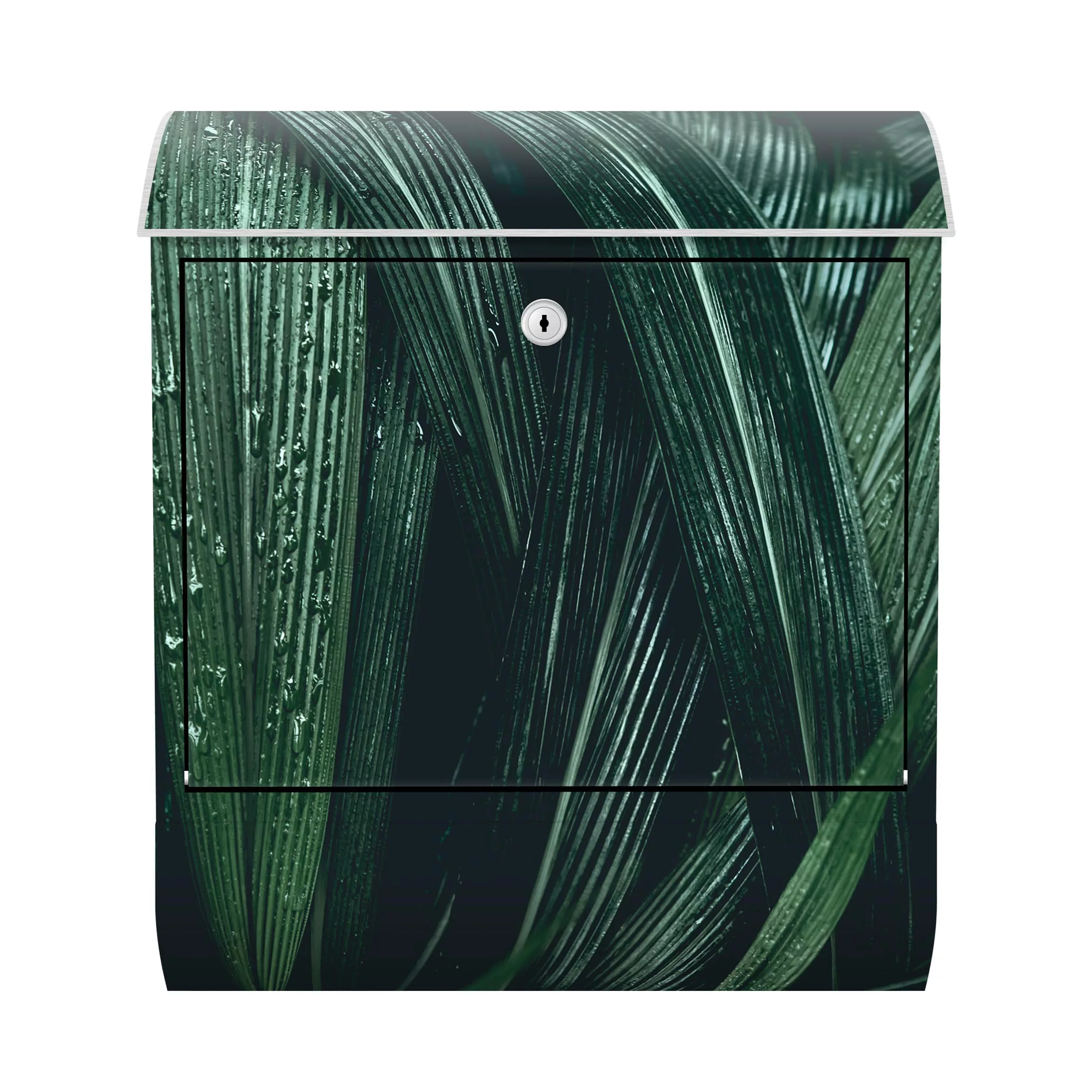 Briefkasten Botanik & Tropical Grüne Palmenblätter günstig online kaufen