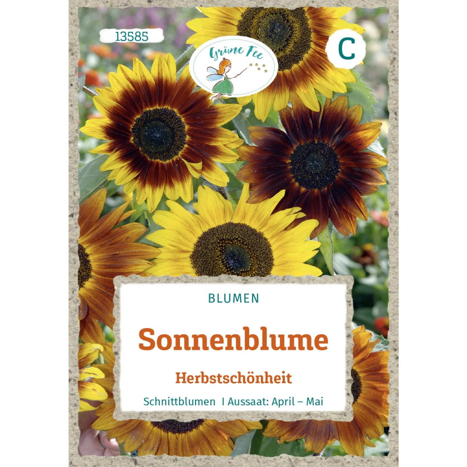 Grüne Fee Sonnenblume Herbstschönheit Saatgut günstig online kaufen