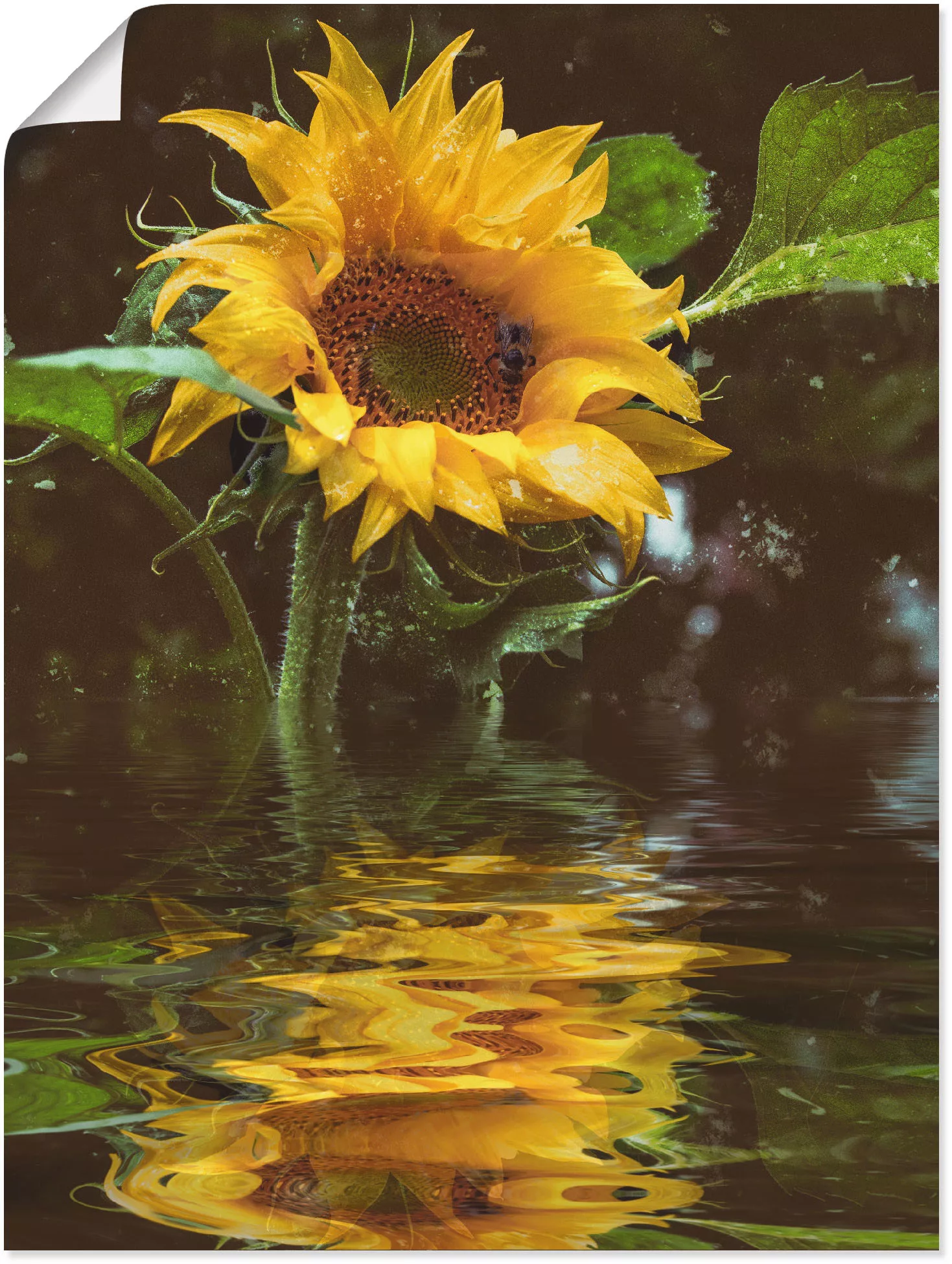 Artland Wandbild »Sonnenblume«, Blumen, (1 St.) günstig online kaufen