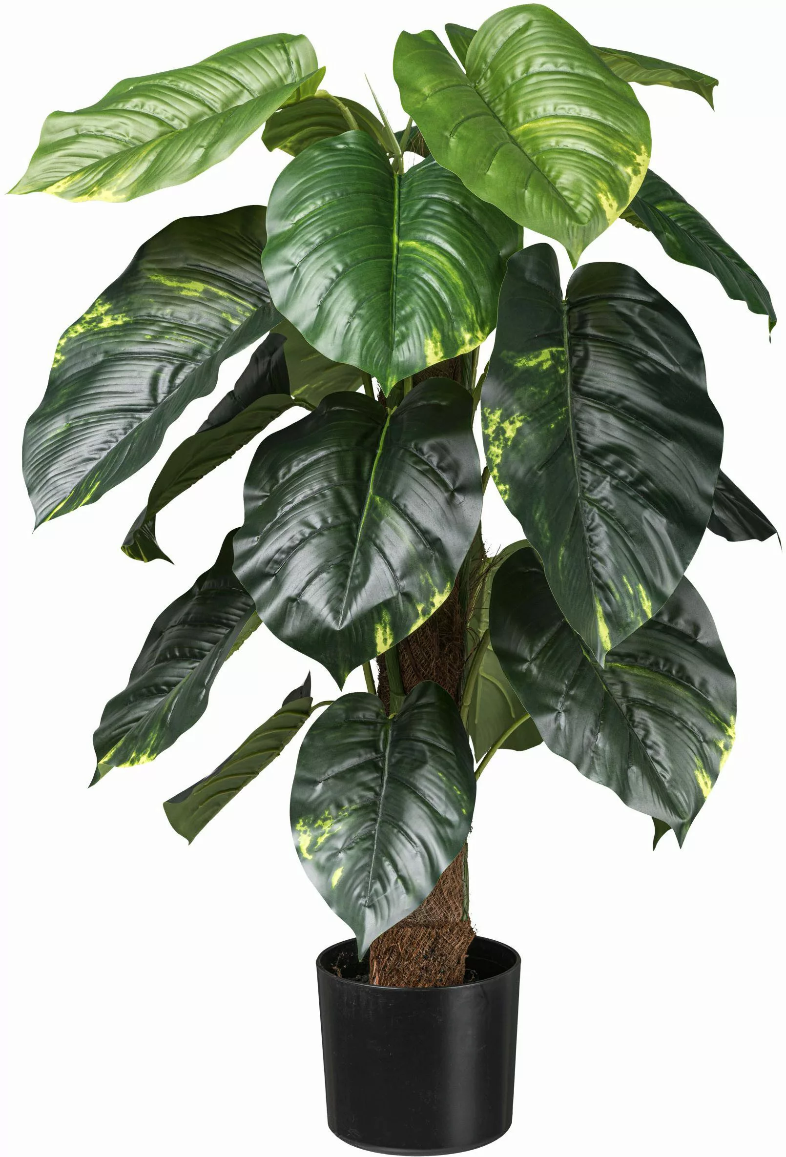 Künstliche Zimmerpflanze Philodendron Scandens Grünpflanze, Creativ günstig online kaufen