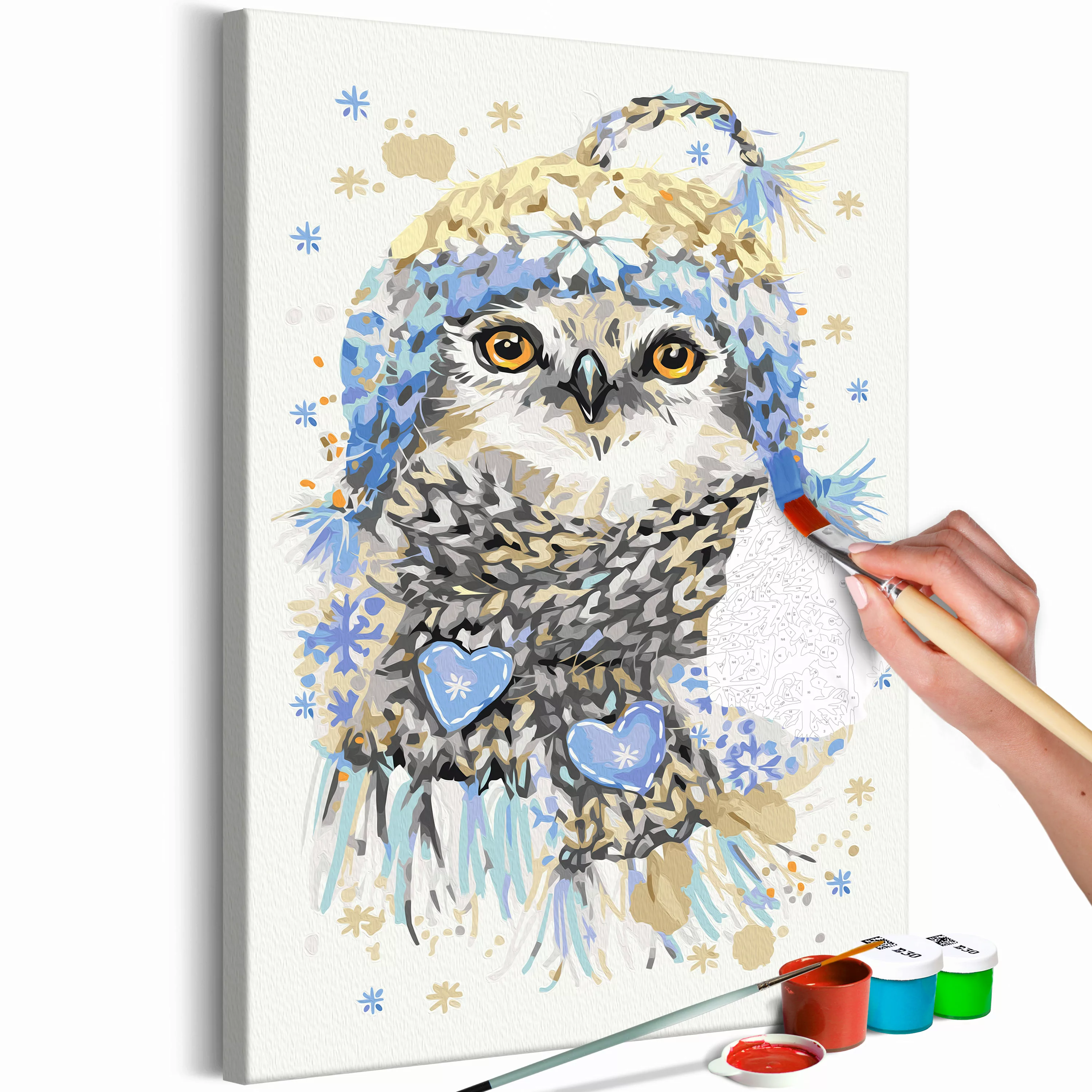 Malen Nach Zahlen - Cold Owl günstig online kaufen