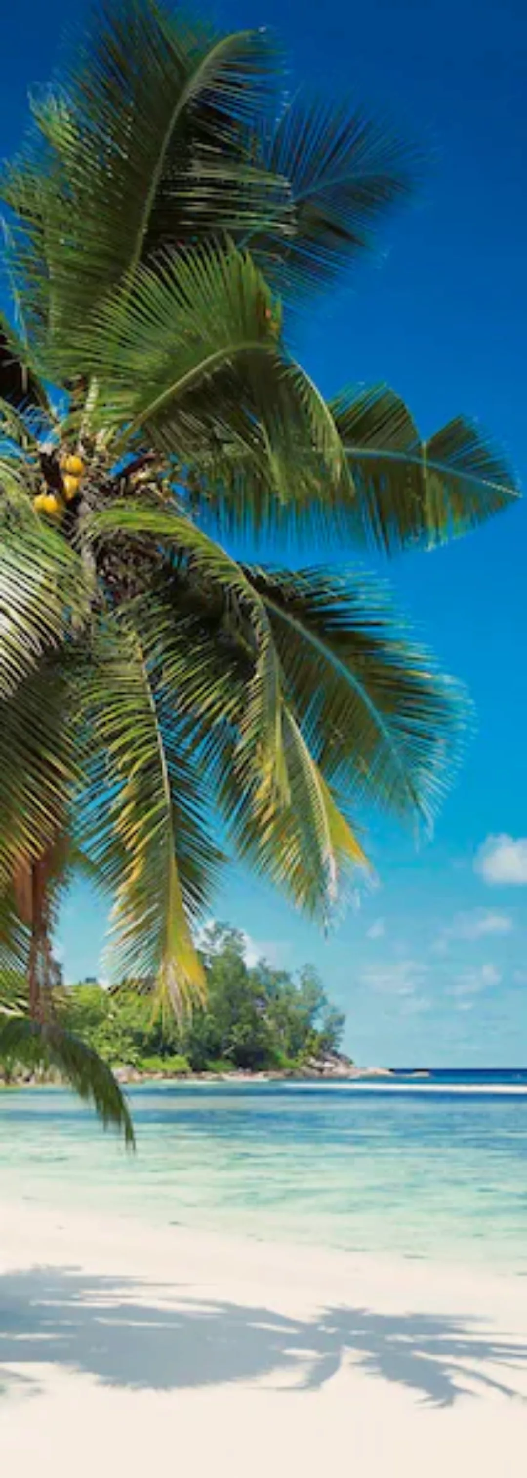 Komar Vliestapete »Coconut Bay«, 100x280 cm (Breite x Höhe), Vliestapete, 1 günstig online kaufen
