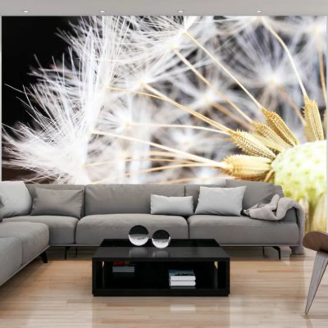 artgeist Fototapete Fluffy dandelion mehrfarbig Gr. 250 x 175 günstig online kaufen