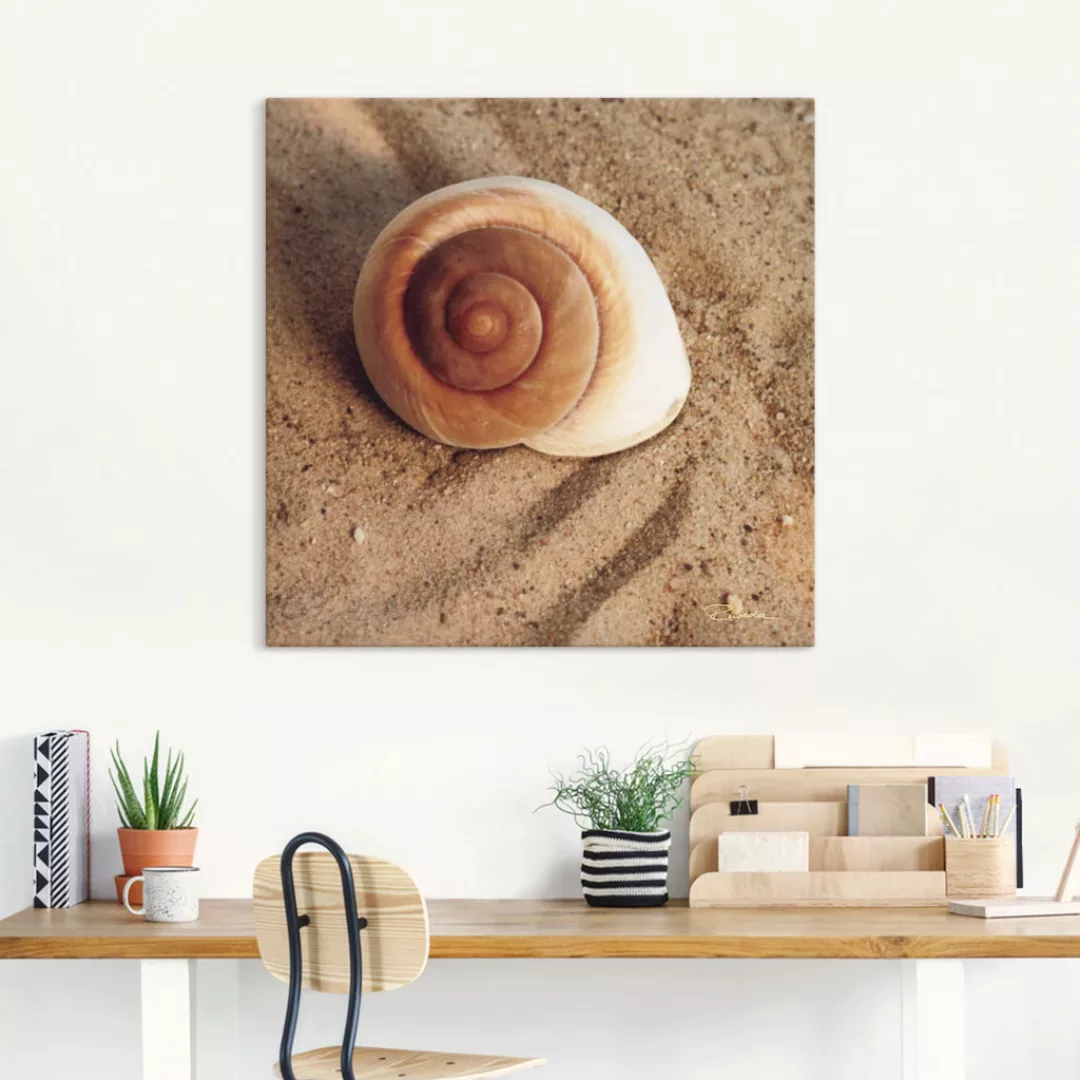 Artland Wandbild "Muschel", Wassertiere, (1 St.), als Alubild, Outdoorbild, günstig online kaufen