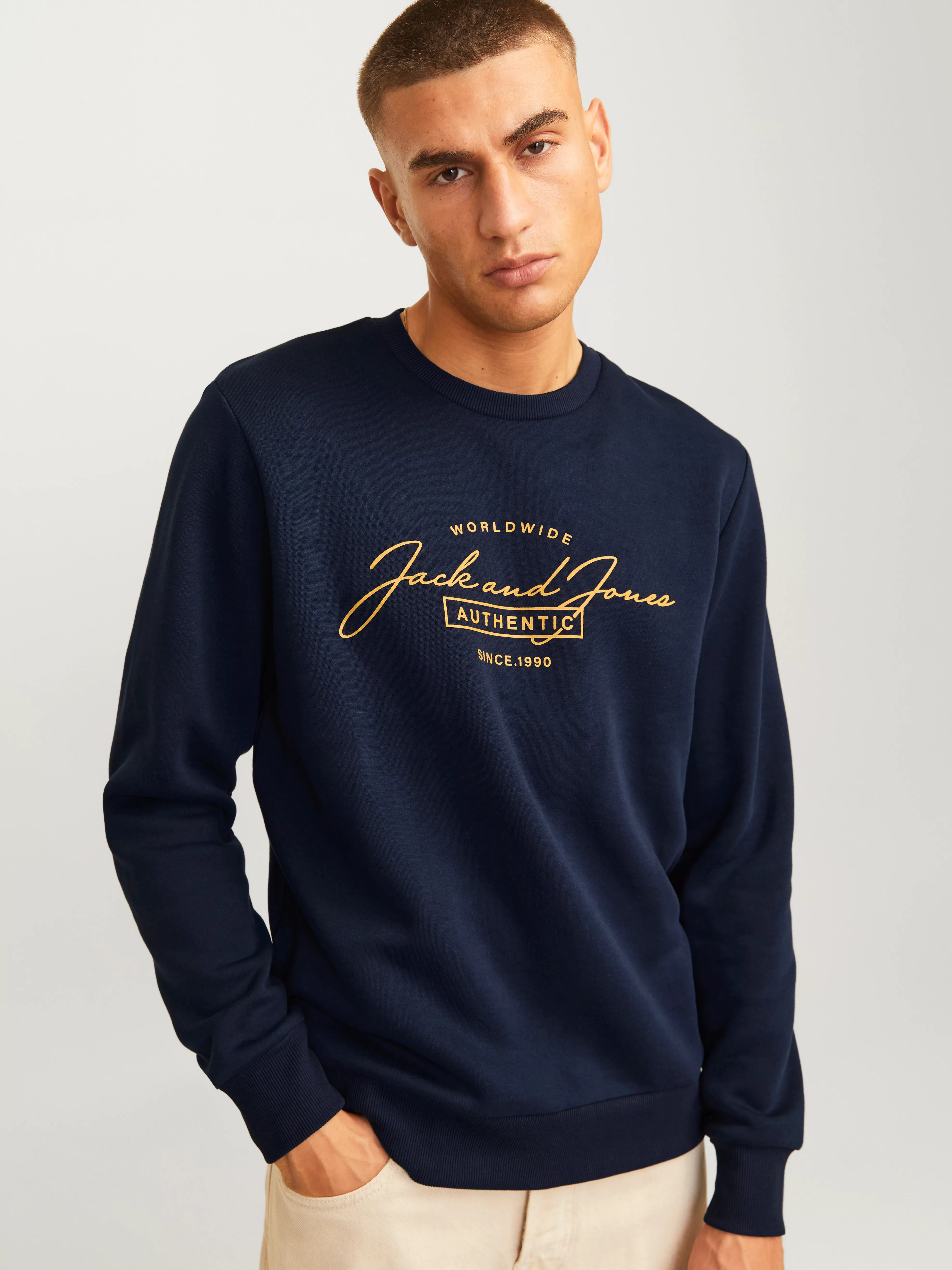 Jack & Jones Sweatshirt JJFERRIS SWEAT CREW NECK günstig online kaufen