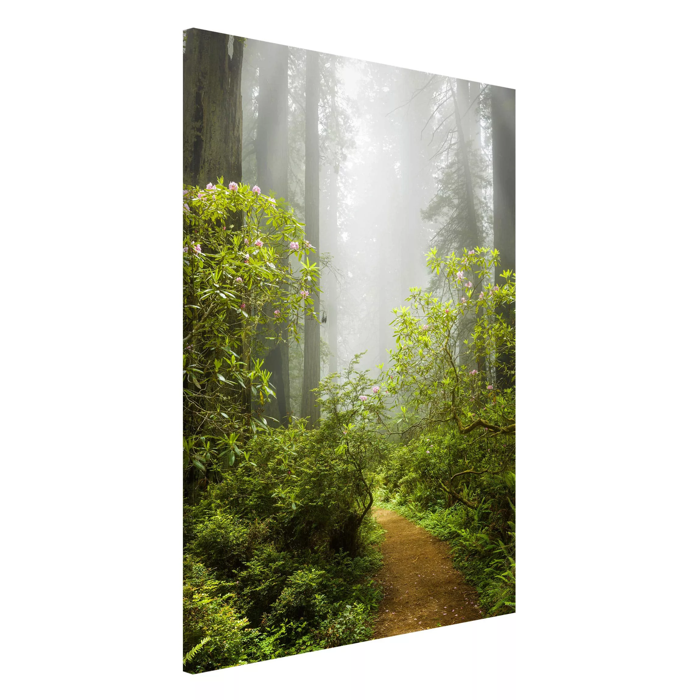 Magnettafel Natur & Landschaft - Hochformat 3:4 Nebliger Waldpfad günstig online kaufen