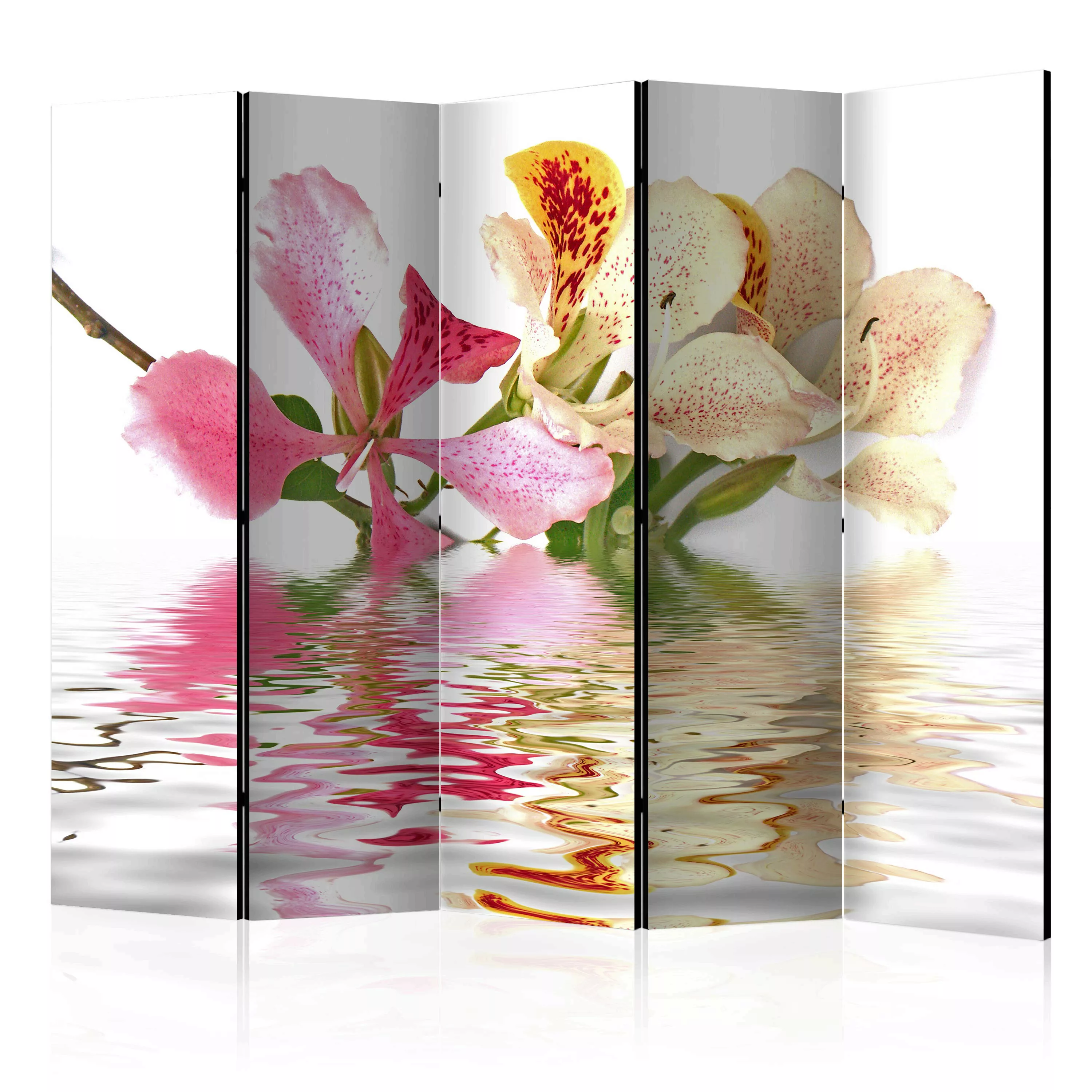 5-teiliges Paravent - Tropical Flowers - Orchid Tree (bauhinia) Ii [room günstig online kaufen