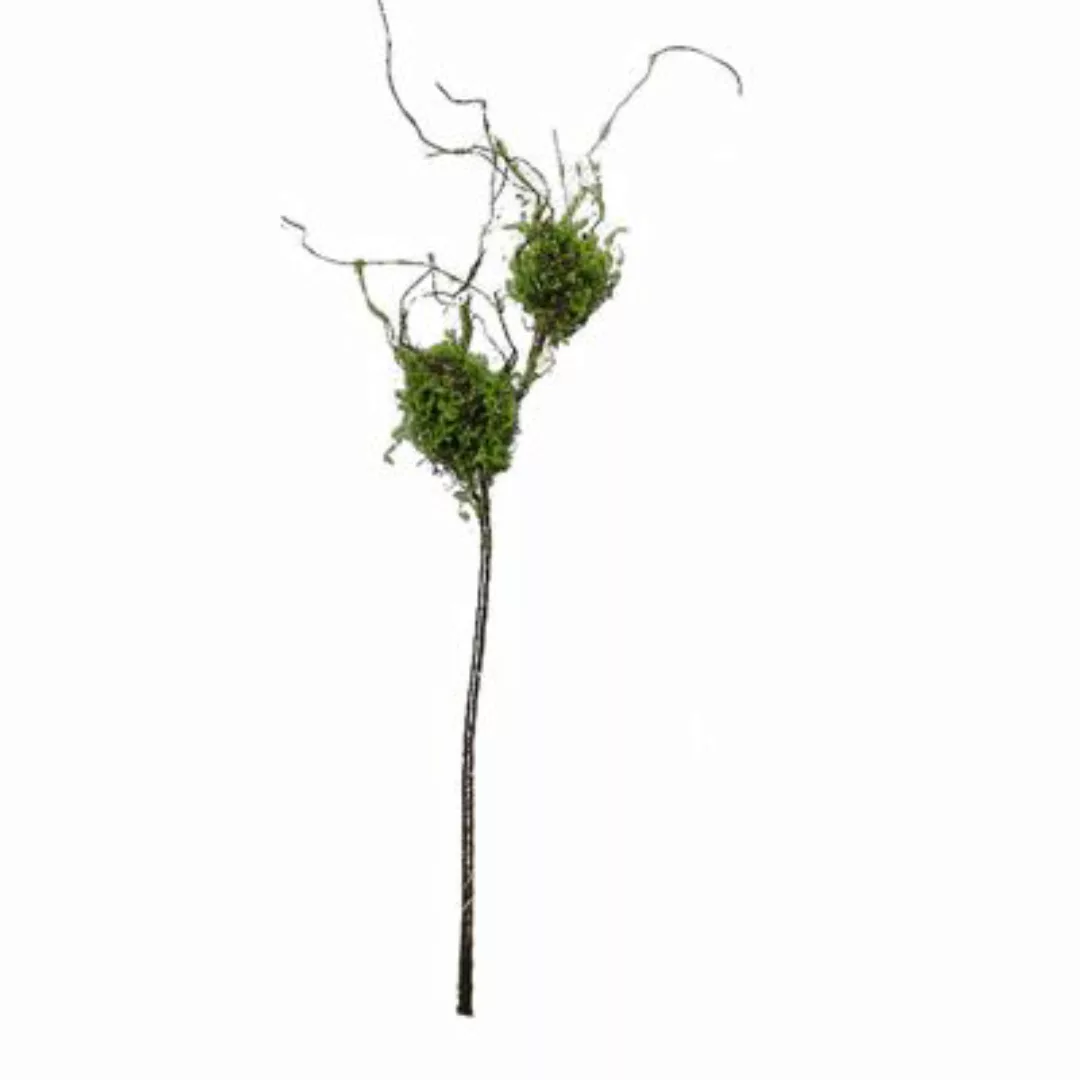 HTI-Living Zweig mit Vogelnestern Kunstpflanze Flora grün günstig online kaufen