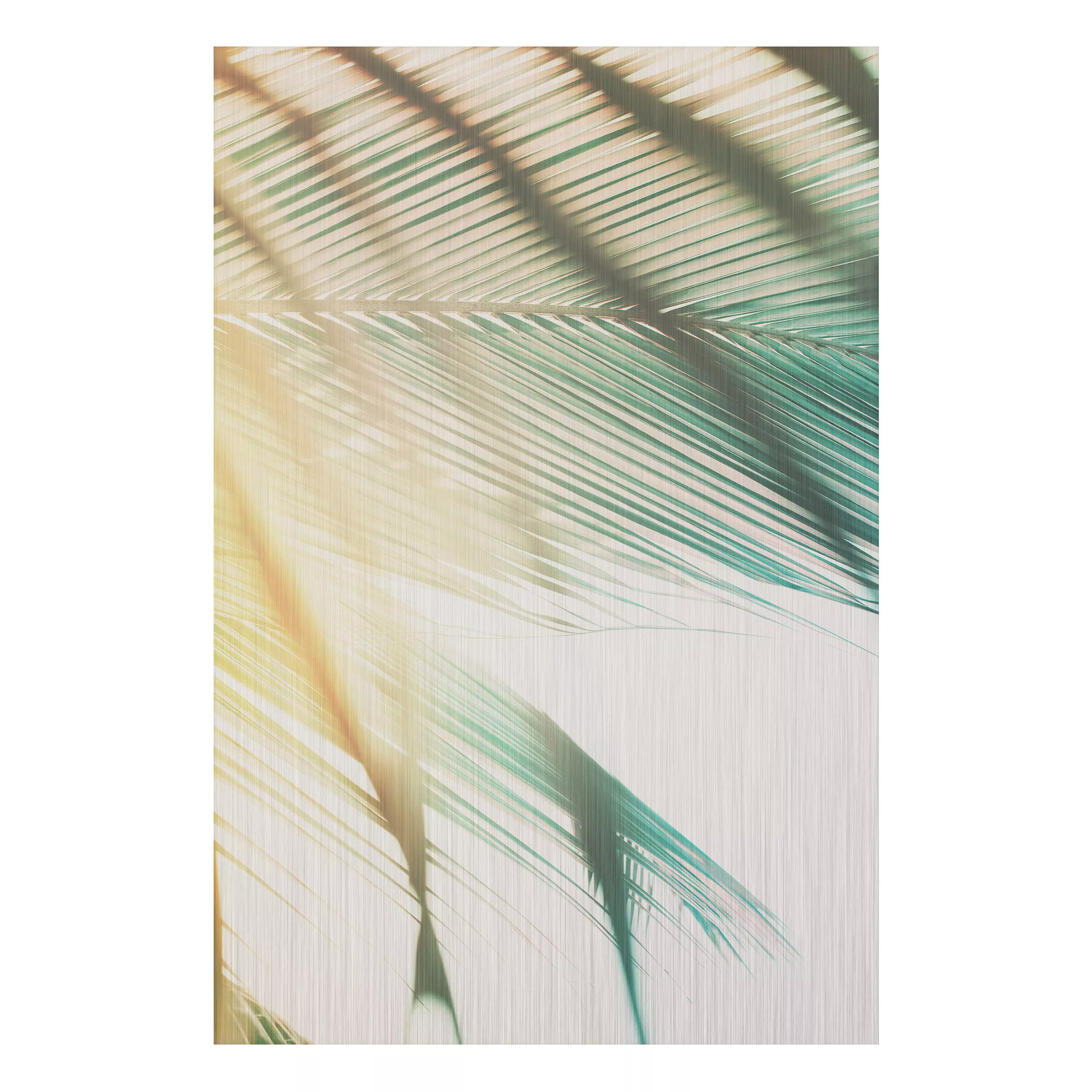 Alu-Dibond Bild Tropische Pflanzen Palmen bei Sonnenuntergang II günstig online kaufen