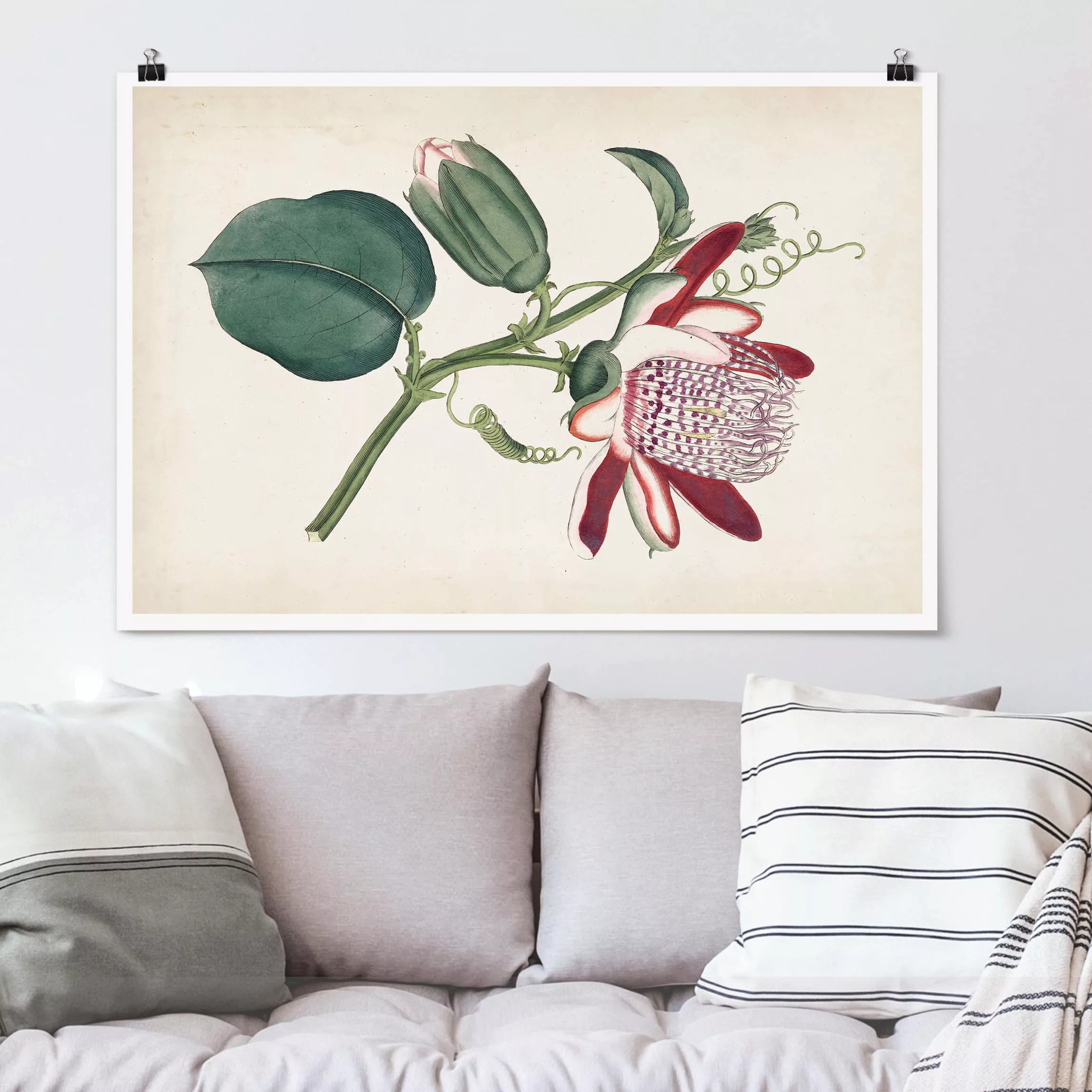 Poster Kunstdruck - Querformat Gartenschönheit IV günstig online kaufen