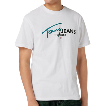 Tommy Hilfiger  T-Shirts & Poloshirts DM0DM18572 günstig online kaufen