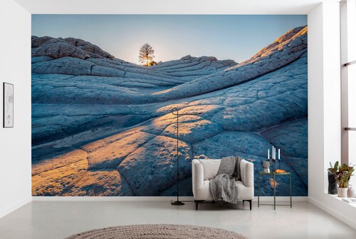 Komar Fototapete »Digitaldruck Vlies - Elephant Skin - Größe 400 x 250 cm«, günstig online kaufen