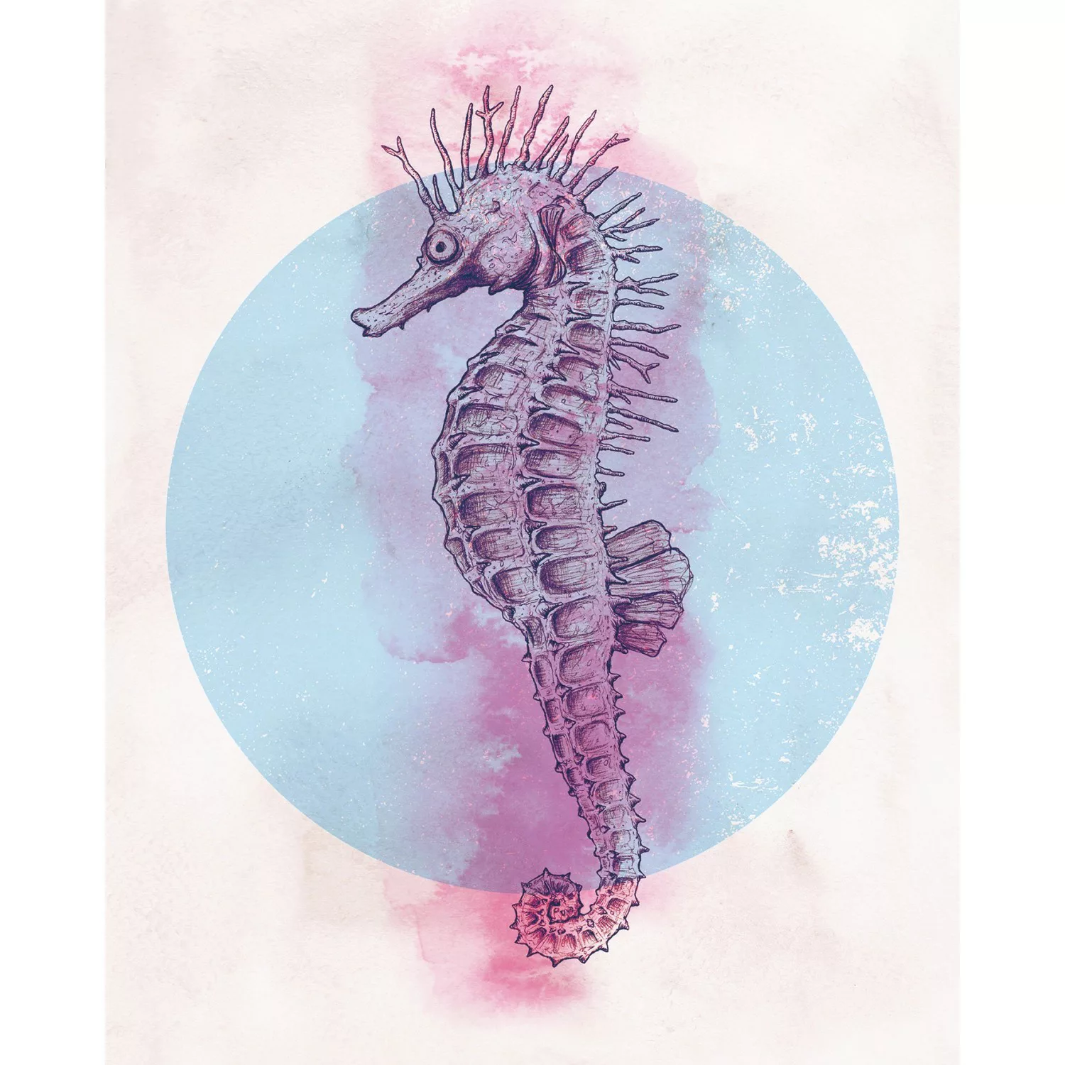 Komar Poster »Sea Horse Circle«, Tiere, (1 St.), Kinderzimmer, Schlafzimmer günstig online kaufen