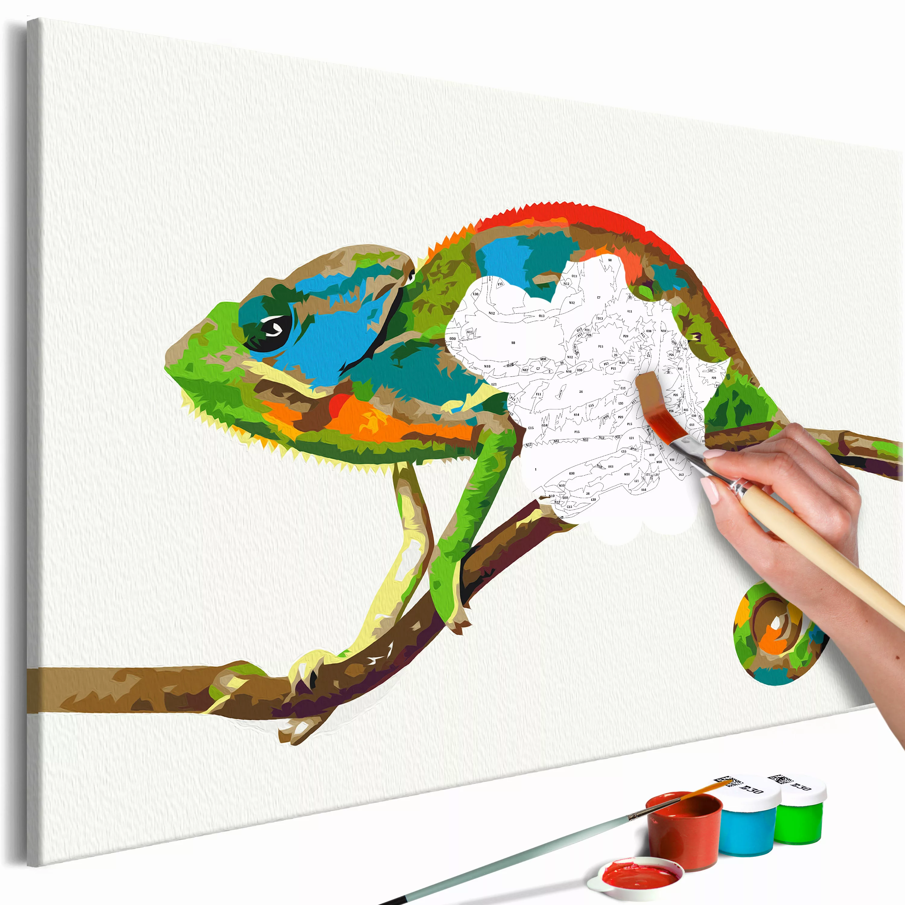 Malen Nach Zahlen - Chameleon günstig online kaufen