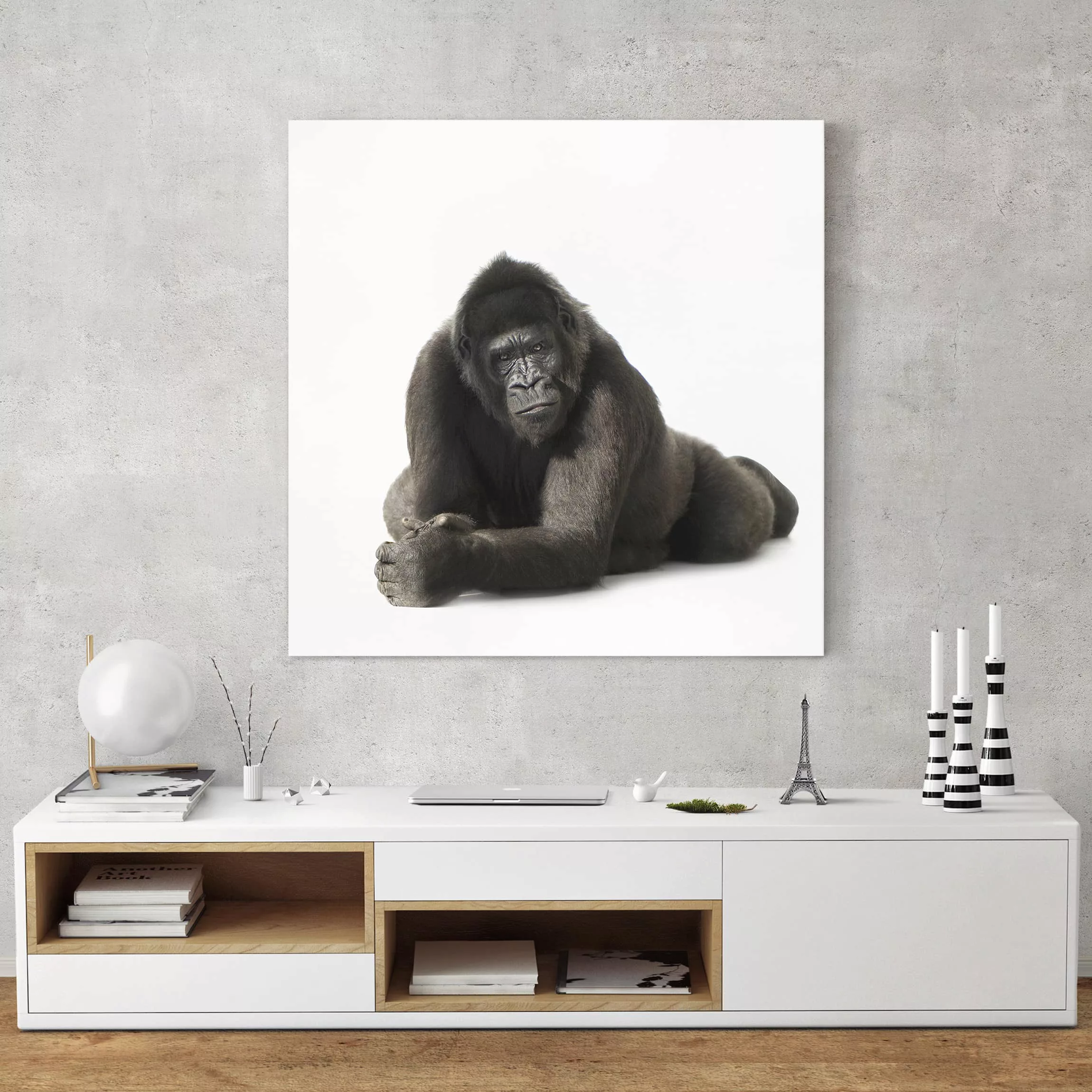 Leinwandbild Tiere - Quadrat Liegender Gorilla II günstig online kaufen