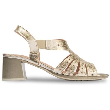 Pitillos  Sandalen 10530P günstig online kaufen