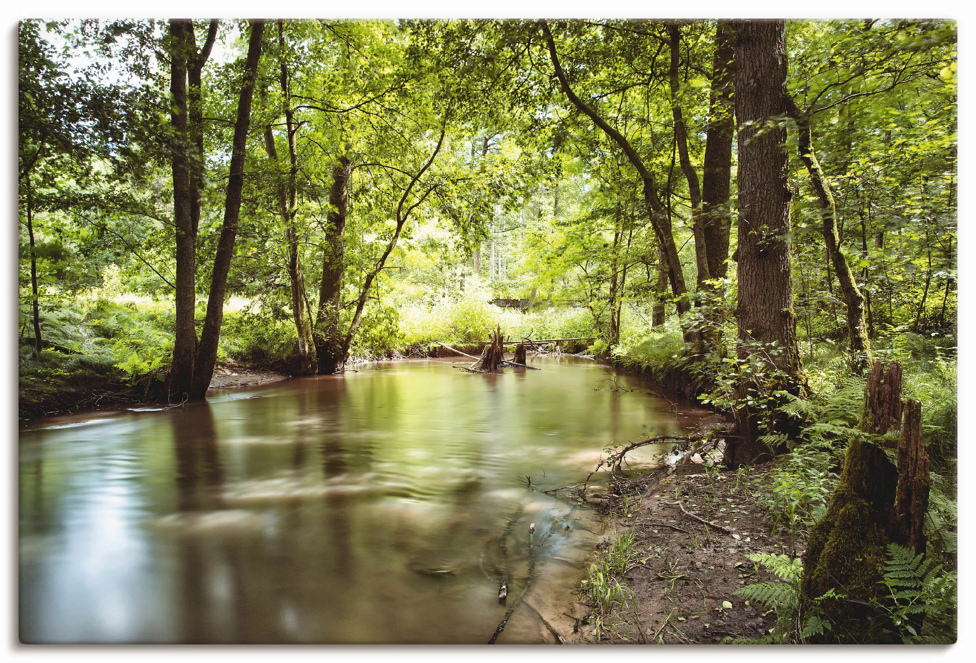 Artland Leinwandbild "Spessart II", Wald, (1 St.) günstig online kaufen