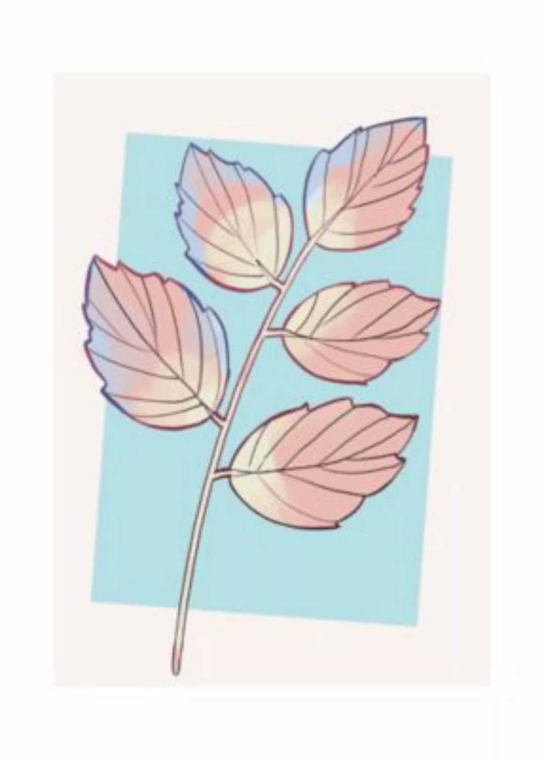 KOMAR Wandbild - Cinderella Plant - Größe: 50 x 70 cm mehrfarbig Gr. one si günstig online kaufen