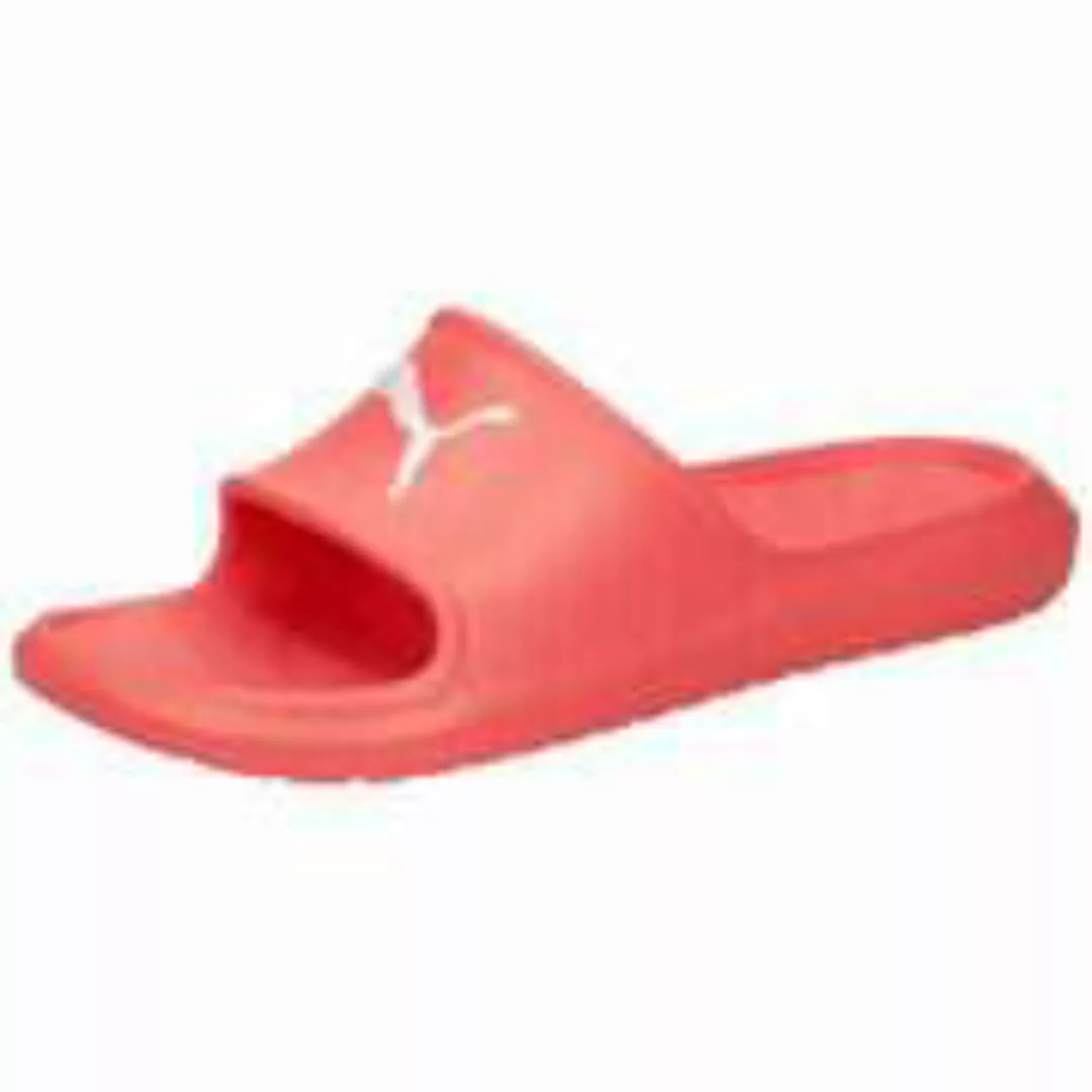 PUMA DIVECAT V2 LITE CAT Badesandale günstig online kaufen