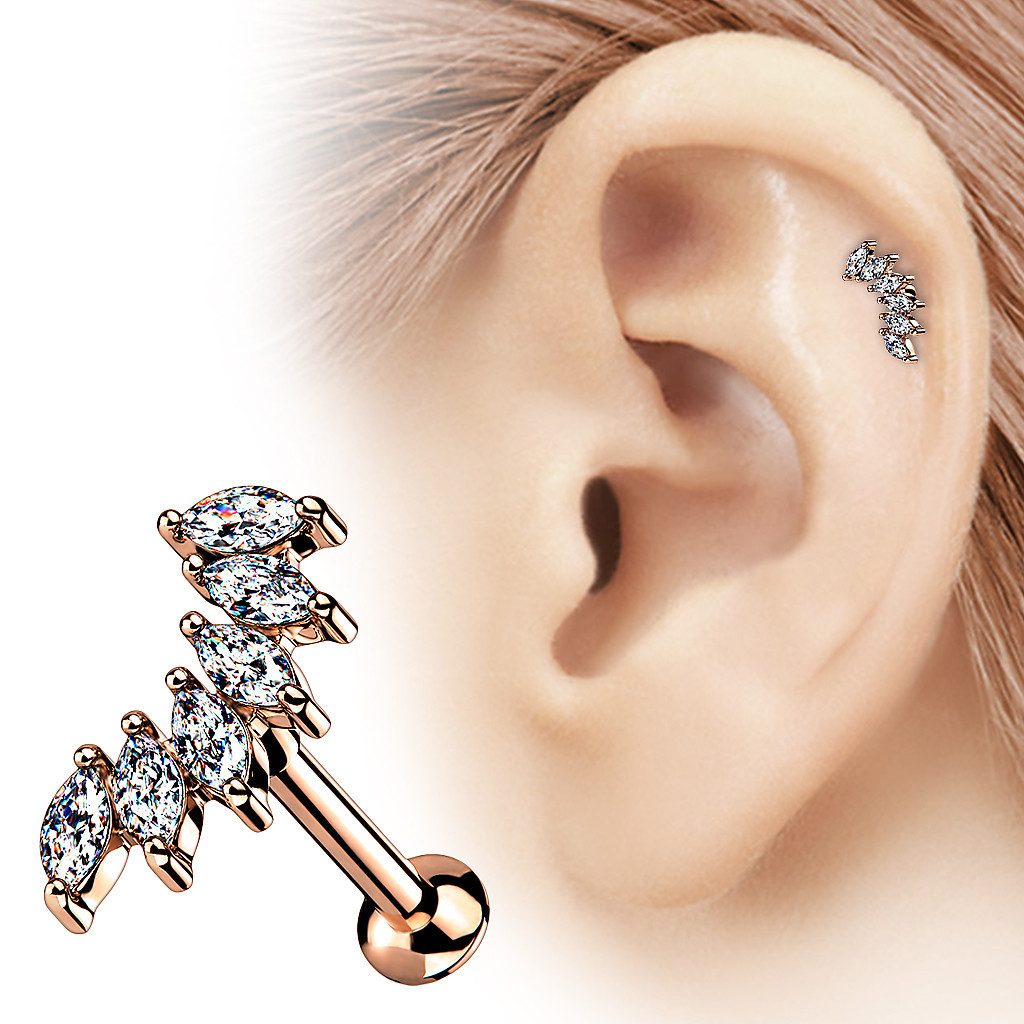Taffstyle Piercing-Set Tragus Labret Piercing Stecker günstig online kaufen