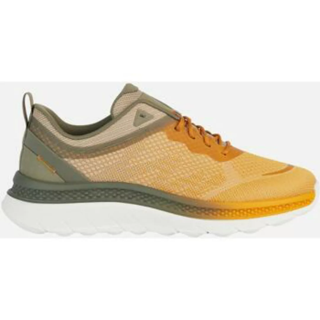 Geox  Sneaker GEUPE24-U45GQC-yel günstig online kaufen