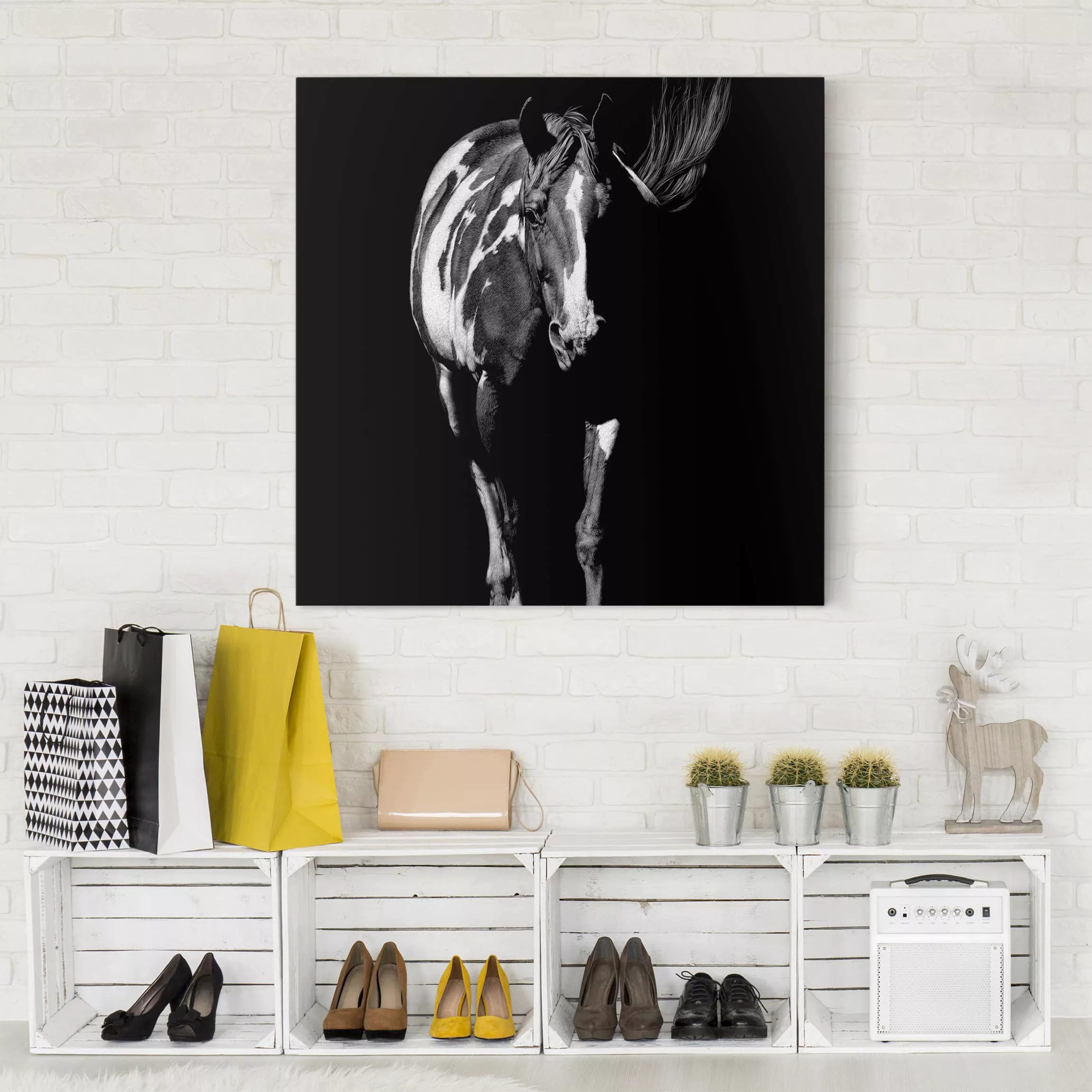 Leinwandbild Schwarz-Weiß - Quadrat Pferd vor Schwarz günstig online kaufen