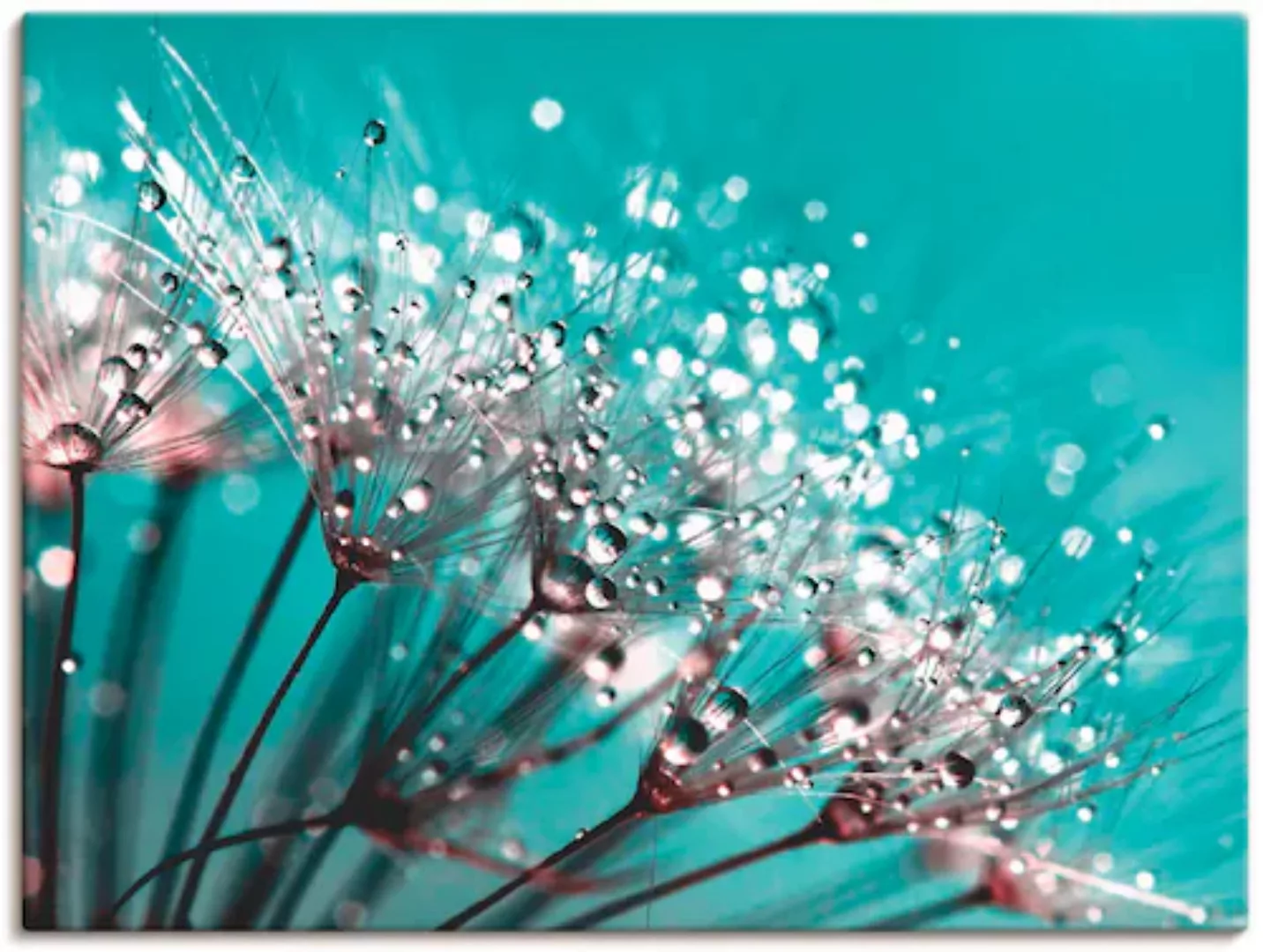 Artland Wandbild »Glitzernde Pusteblume I«, Blumen, (1 St.), als Leinwandbi günstig online kaufen