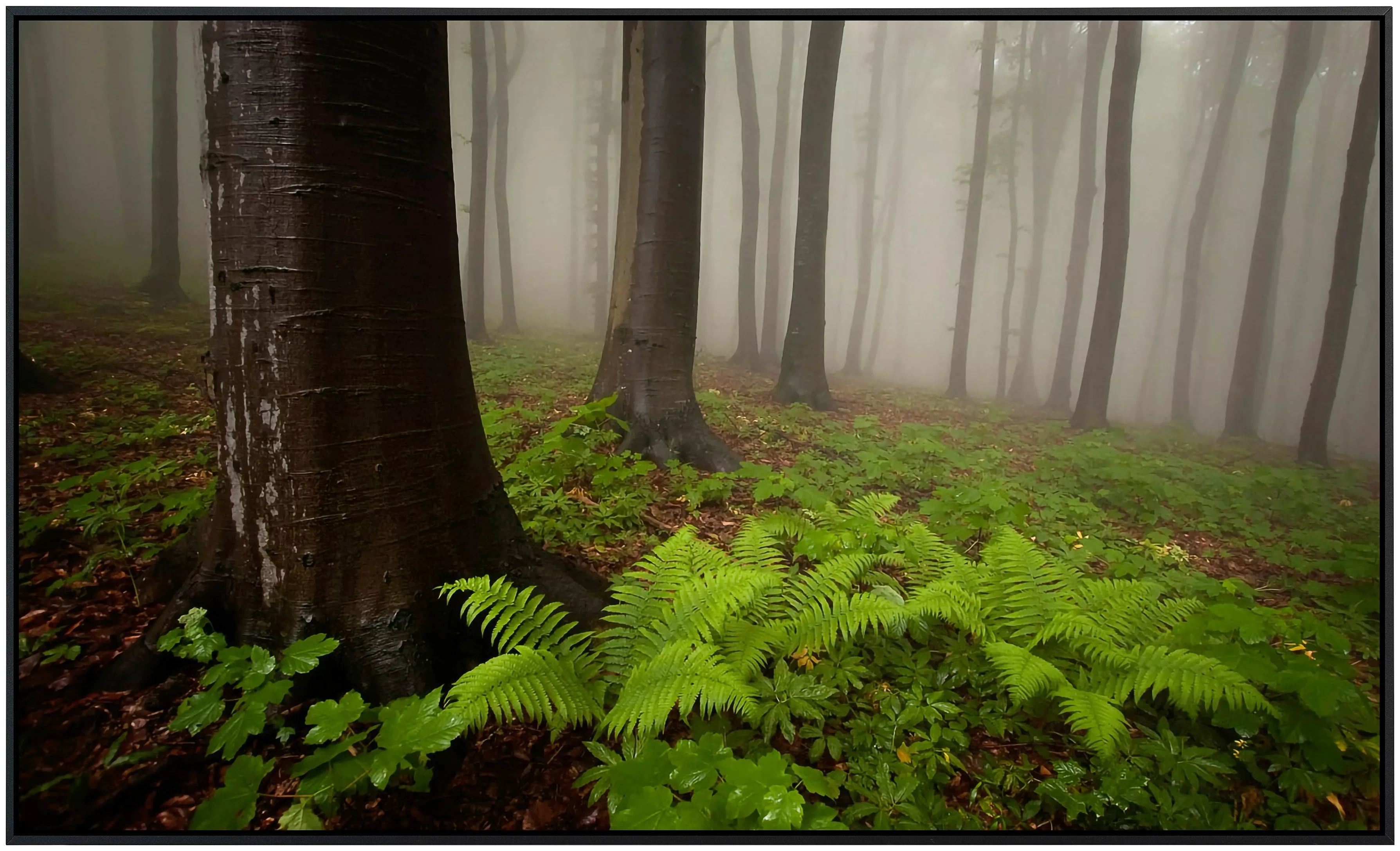 Papermoon Infrarotheizung »Mystischer Wald«, sehr angenehme Strahlungswärme günstig online kaufen