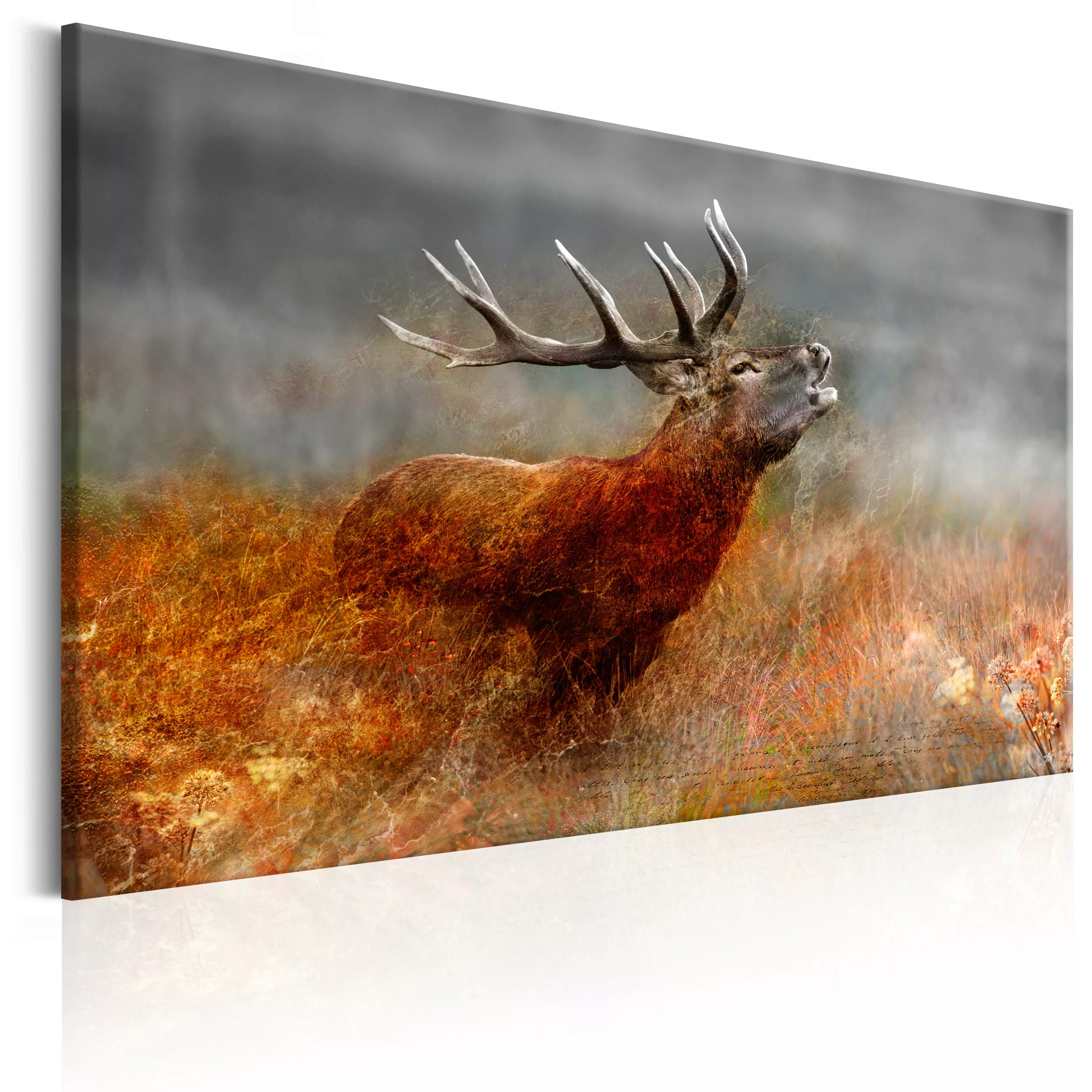 Wandbild - Roaring Deer günstig online kaufen