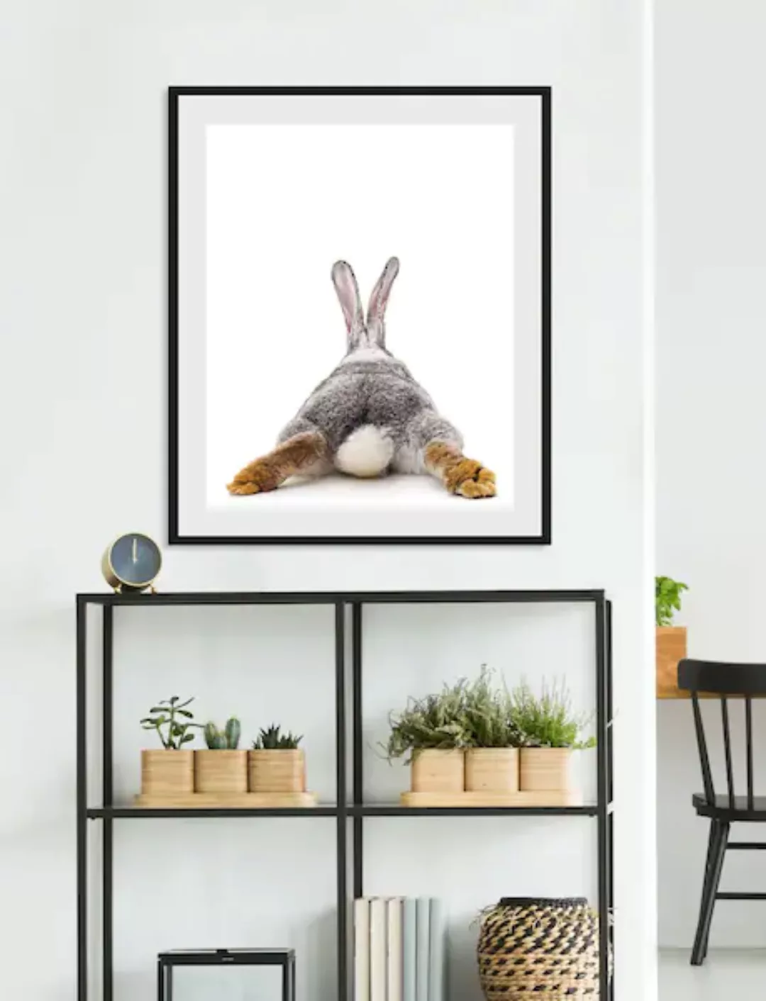queence Bild »Bunny Tail«, Hase, (1 St.) günstig online kaufen