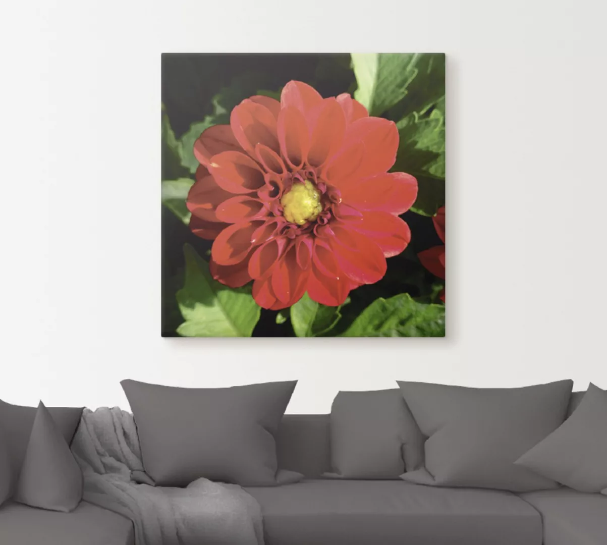 Artland Leinwandbild "Rote Dahlienblüte", Blumen, (1 St.), auf Keilrahmen g günstig online kaufen