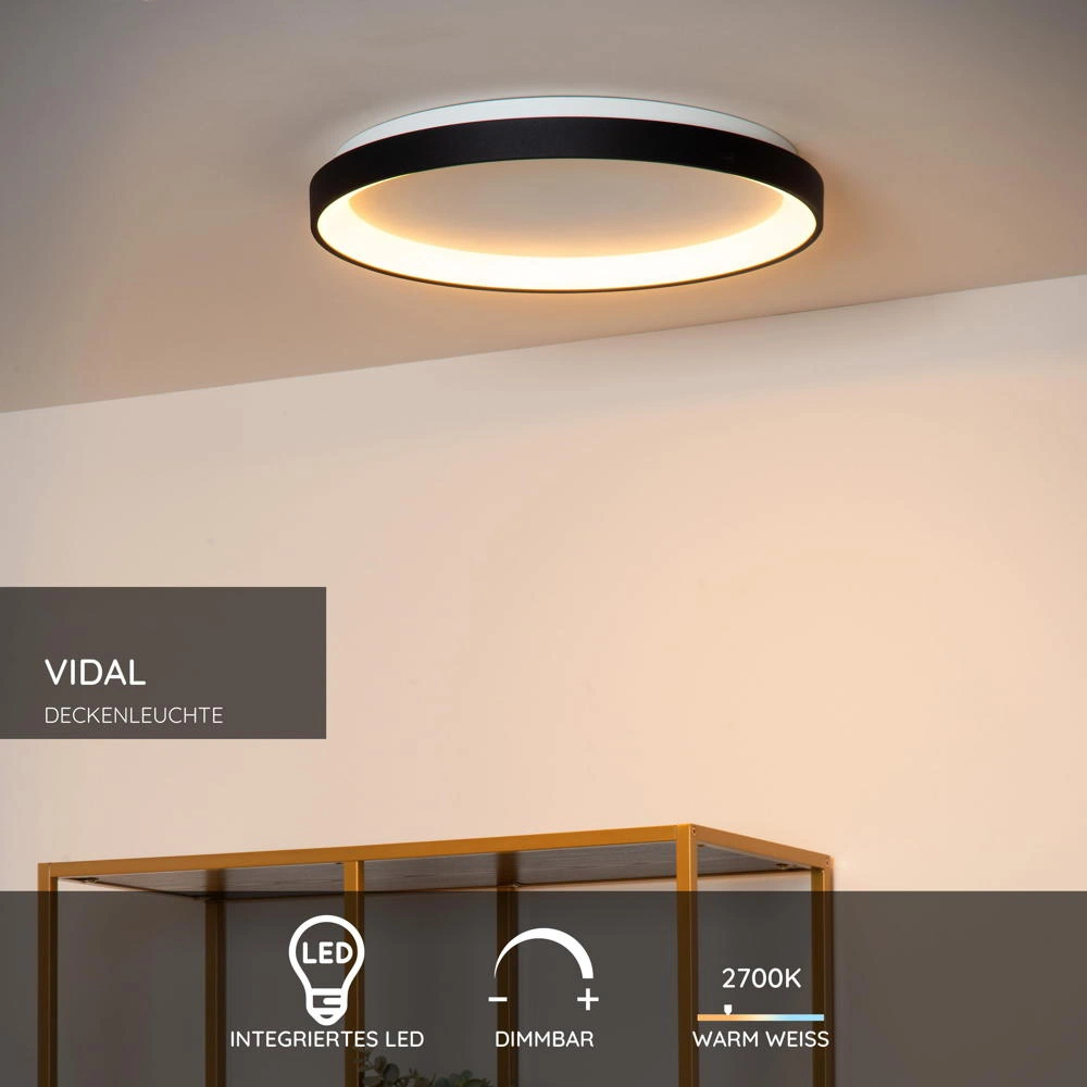 LED Deckenleuchte Vidal in Schwarz und Weiß 38W 3332lm günstig online kaufen