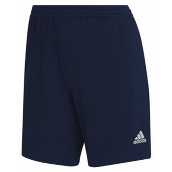 adidas  Shorts für Damen günstig online kaufen