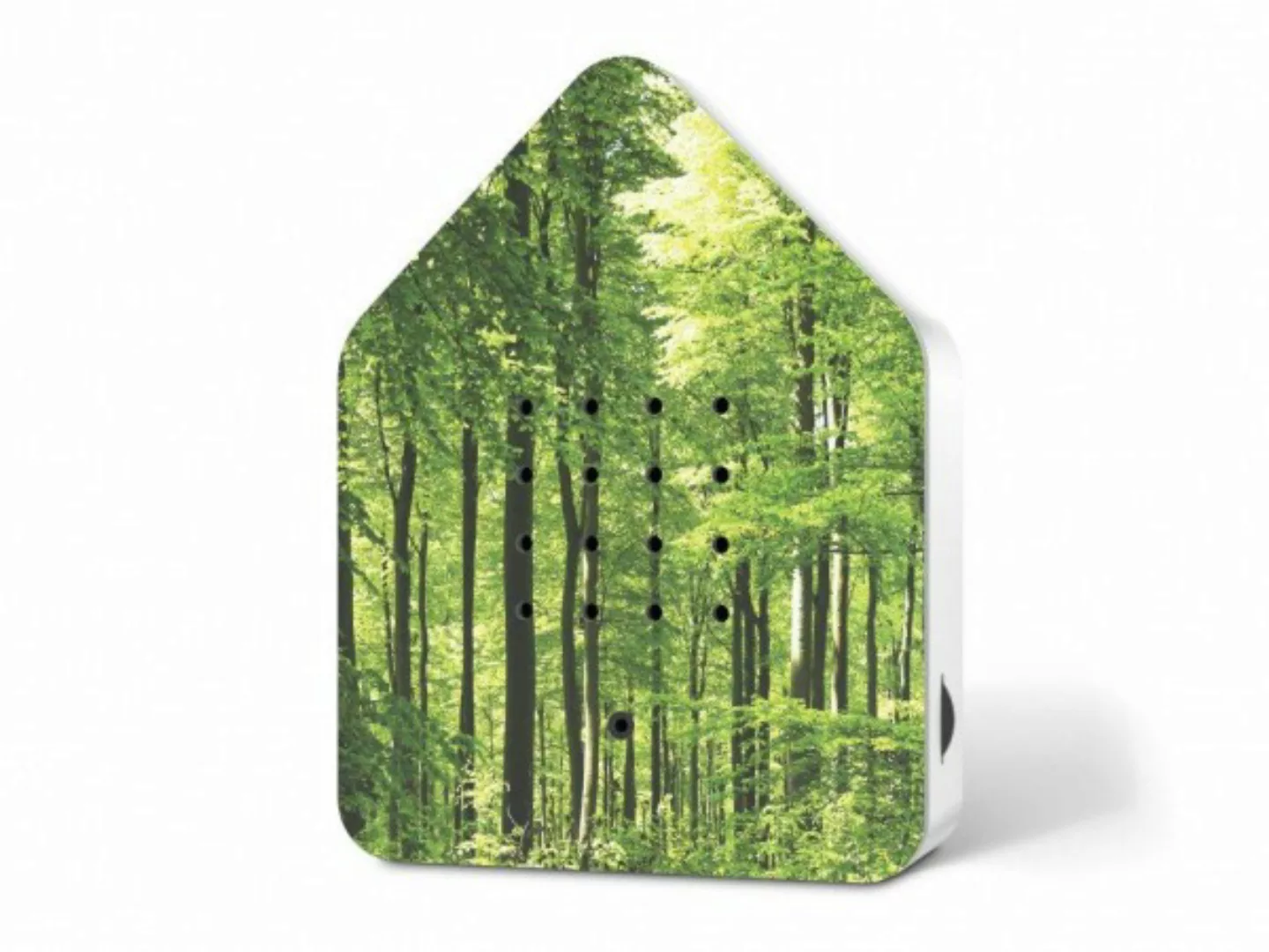 Zwitscherbox Plexiglas Wald günstig online kaufen