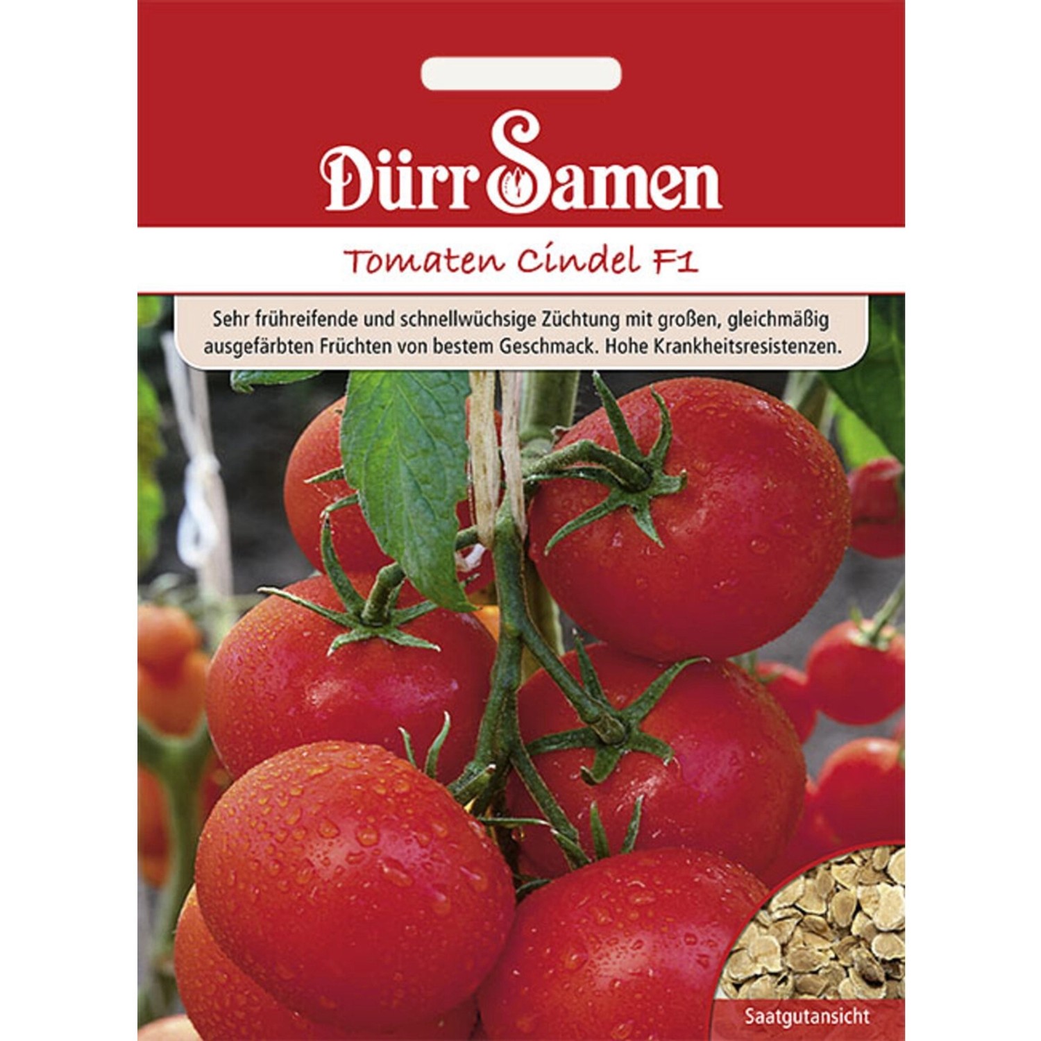 Dürr Samen Tomaten Cindel F1 Saatgut günstig online kaufen