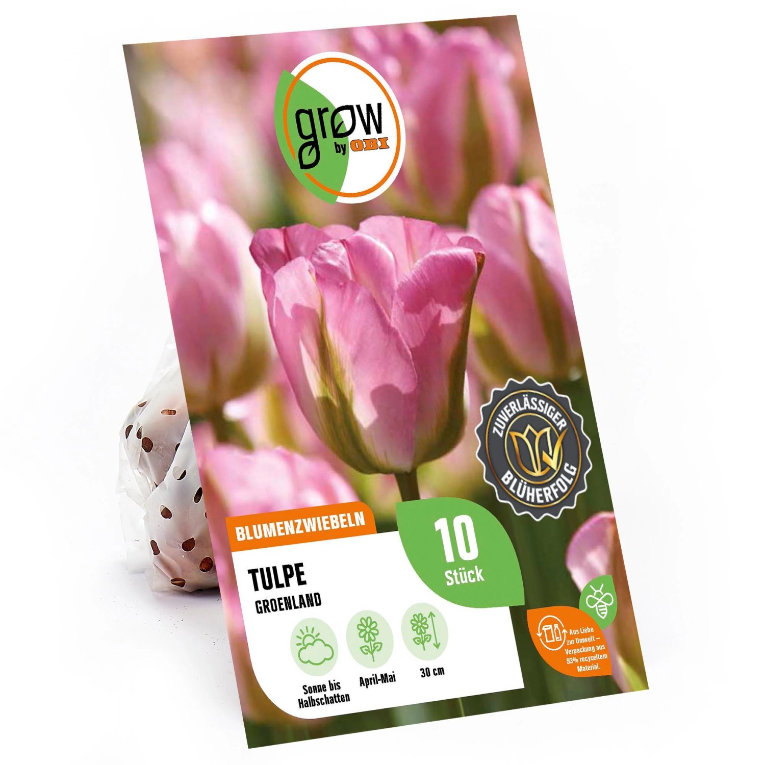 GROW by OBI Tulpe Groenland Rosa-Weiß-Grün 30 cm Tulipa viridiflora günstig online kaufen