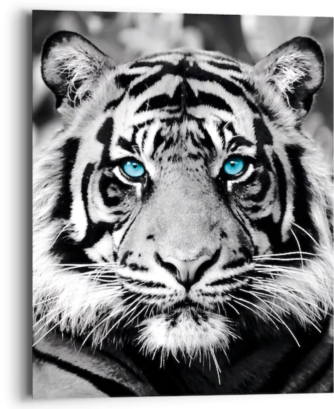 Reinders Holzbild "Blue Eyed Tiger", (1 St.) günstig online kaufen