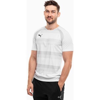 Puma  T-Shirt Teamvision günstig online kaufen