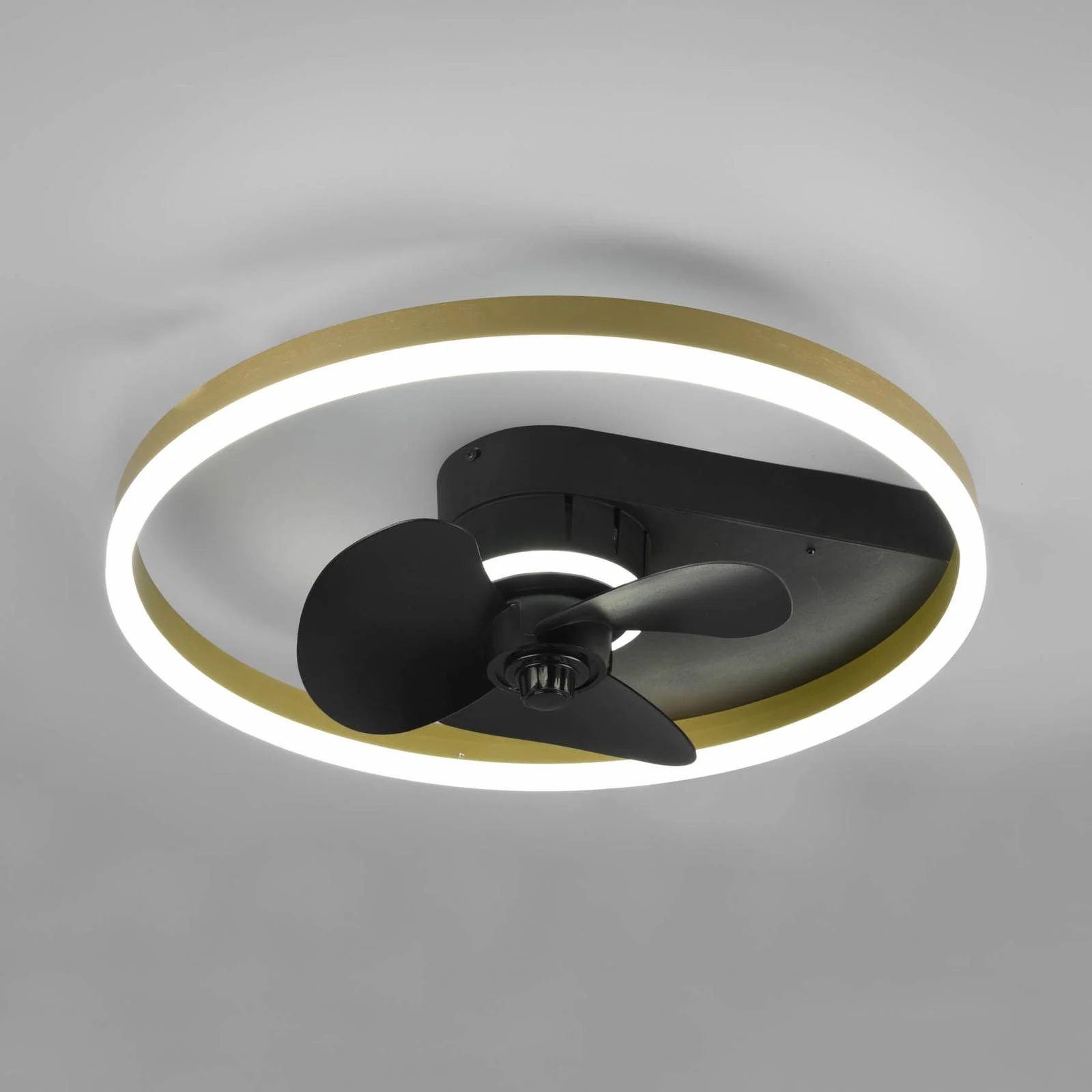 Deckenventilator Borgholm mit LEDs, CCT, schwarz günstig online kaufen