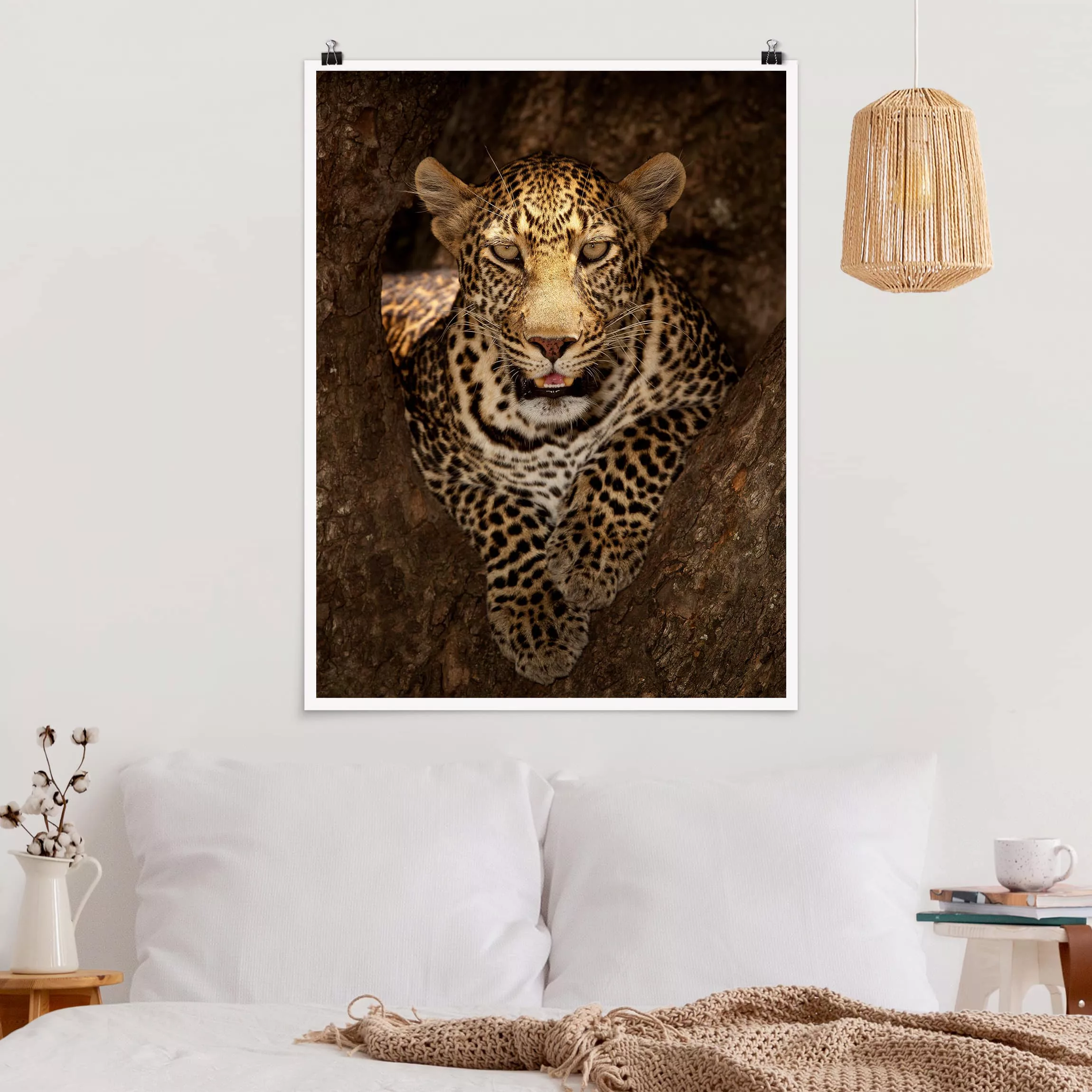 Poster Tiere - Hochformat Leopard ruht auf einem Baum günstig online kaufen