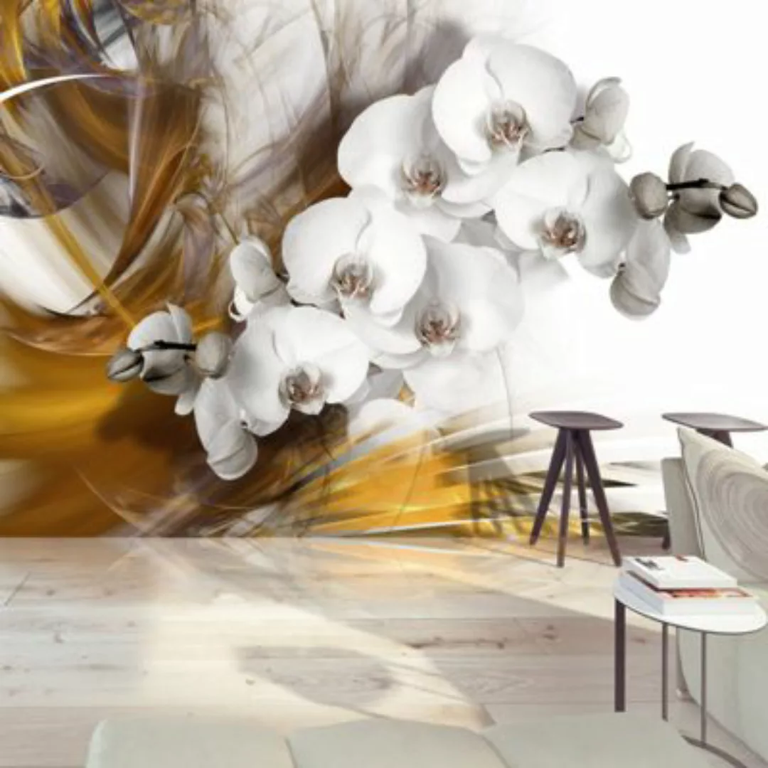 artgeist Fototapete Orchid on fire mehrfarbig Gr. 200 x 140 günstig online kaufen