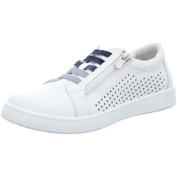 Andrea Conti  Halbschuhe Schnuerschuhe 65900-1631 günstig online kaufen