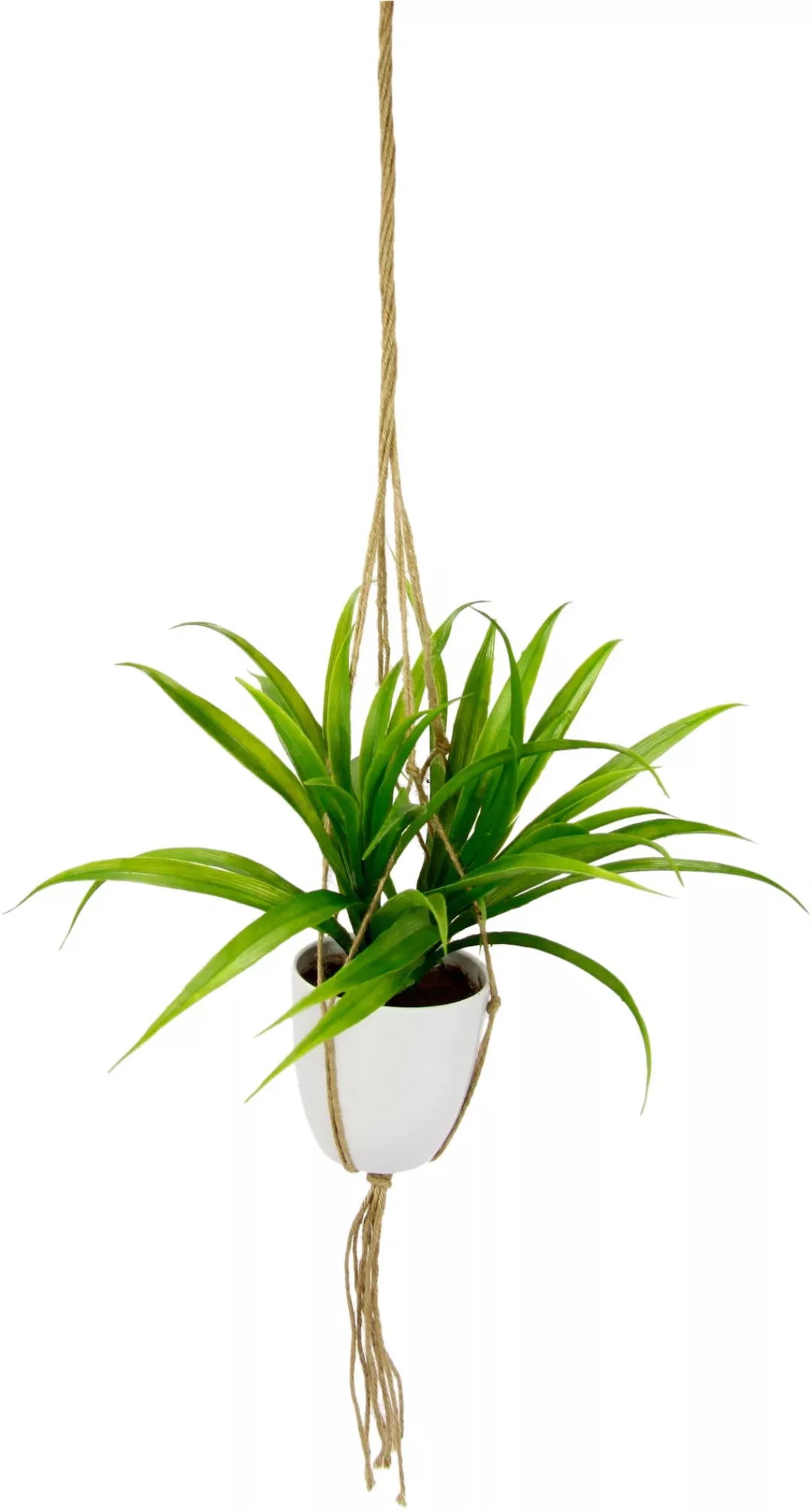 I.GE.A. Kunstpflanze "Dracena" günstig online kaufen